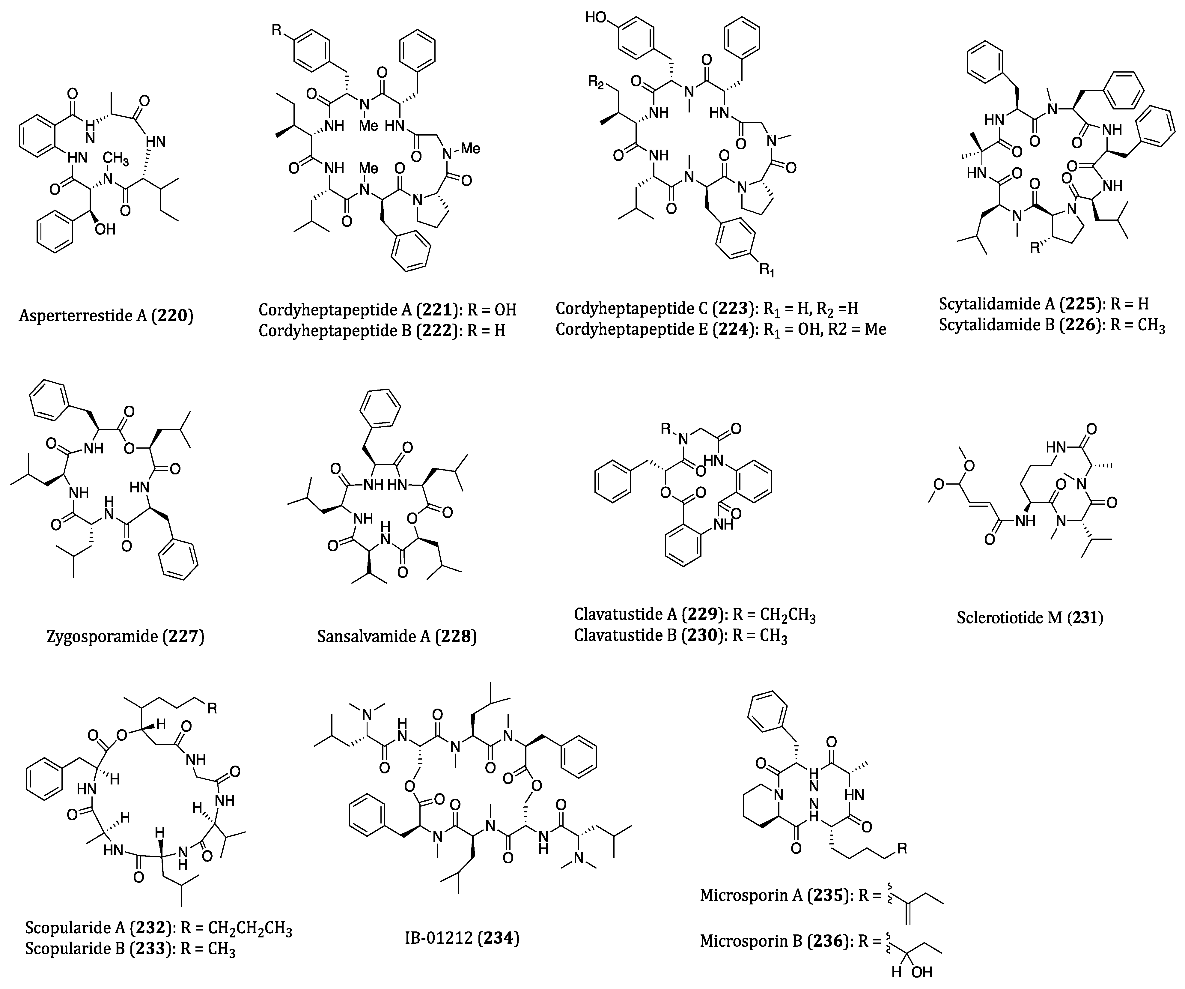 Ijms 22 03973 g010 Ijms 22 03973 g010