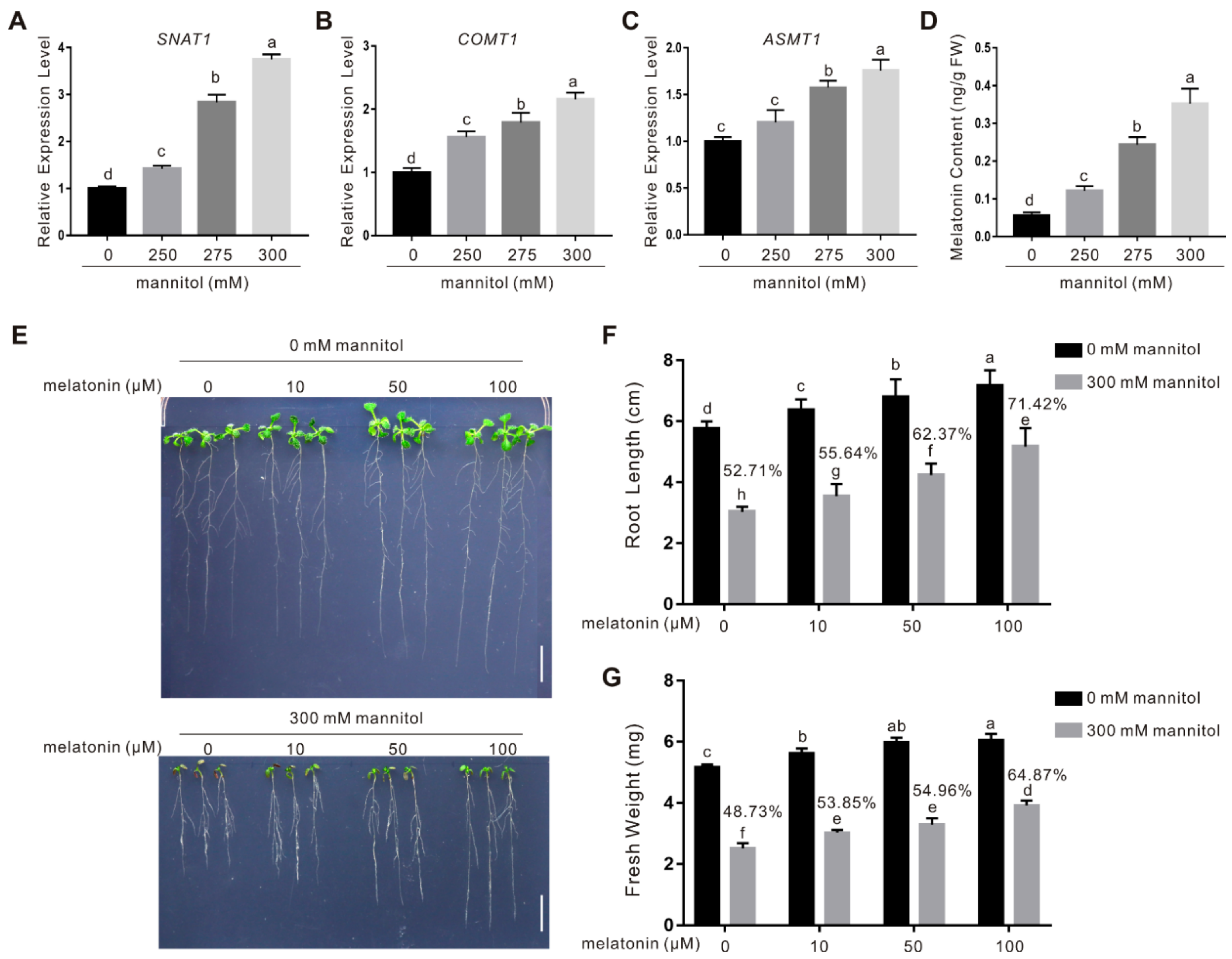 Ijms 22 04014 g001 Ijms 22 04014 g001
