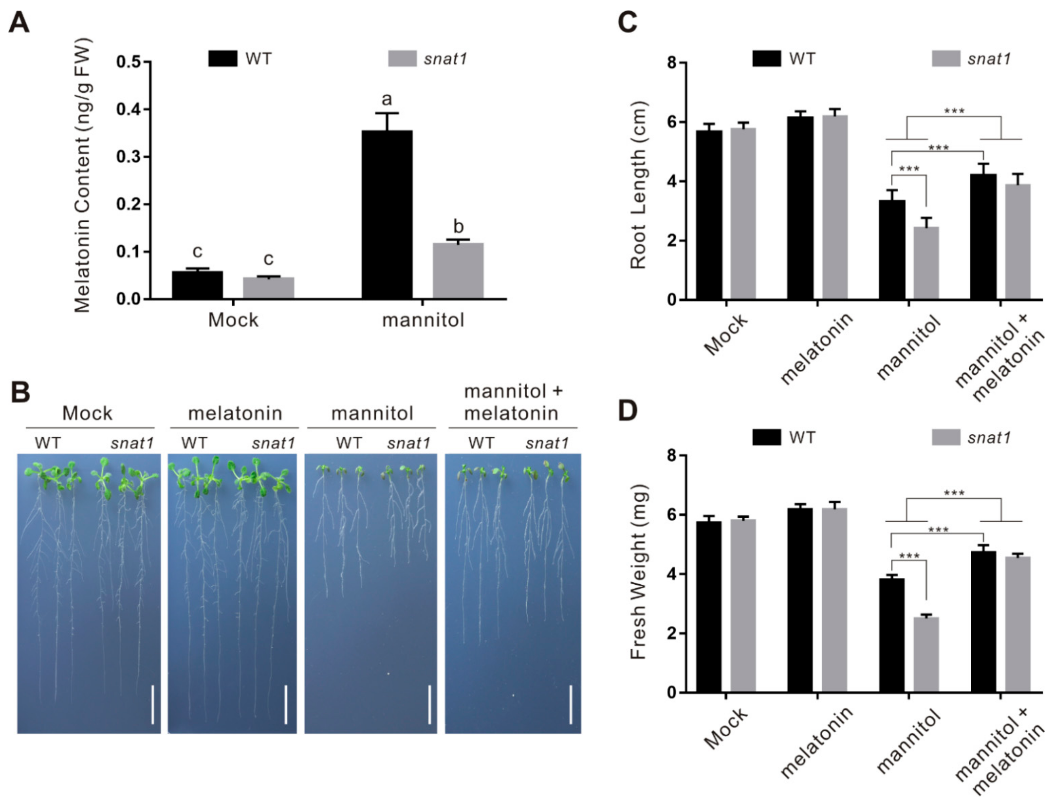 Ijms 22 04014 g002 Ijms 22 04014 g002