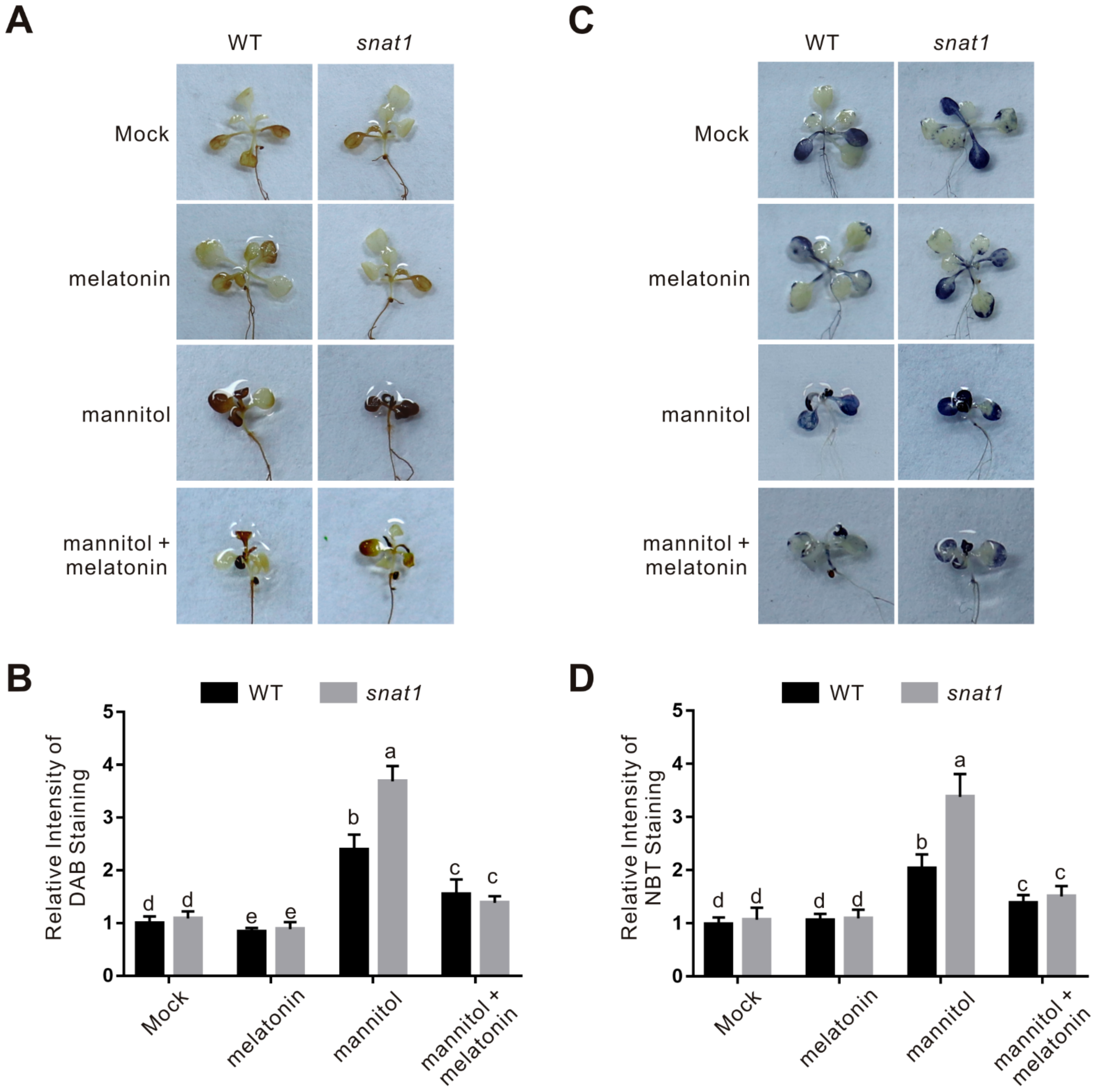 Ijms 22 04014 g003 Ijms 22 04014 g003