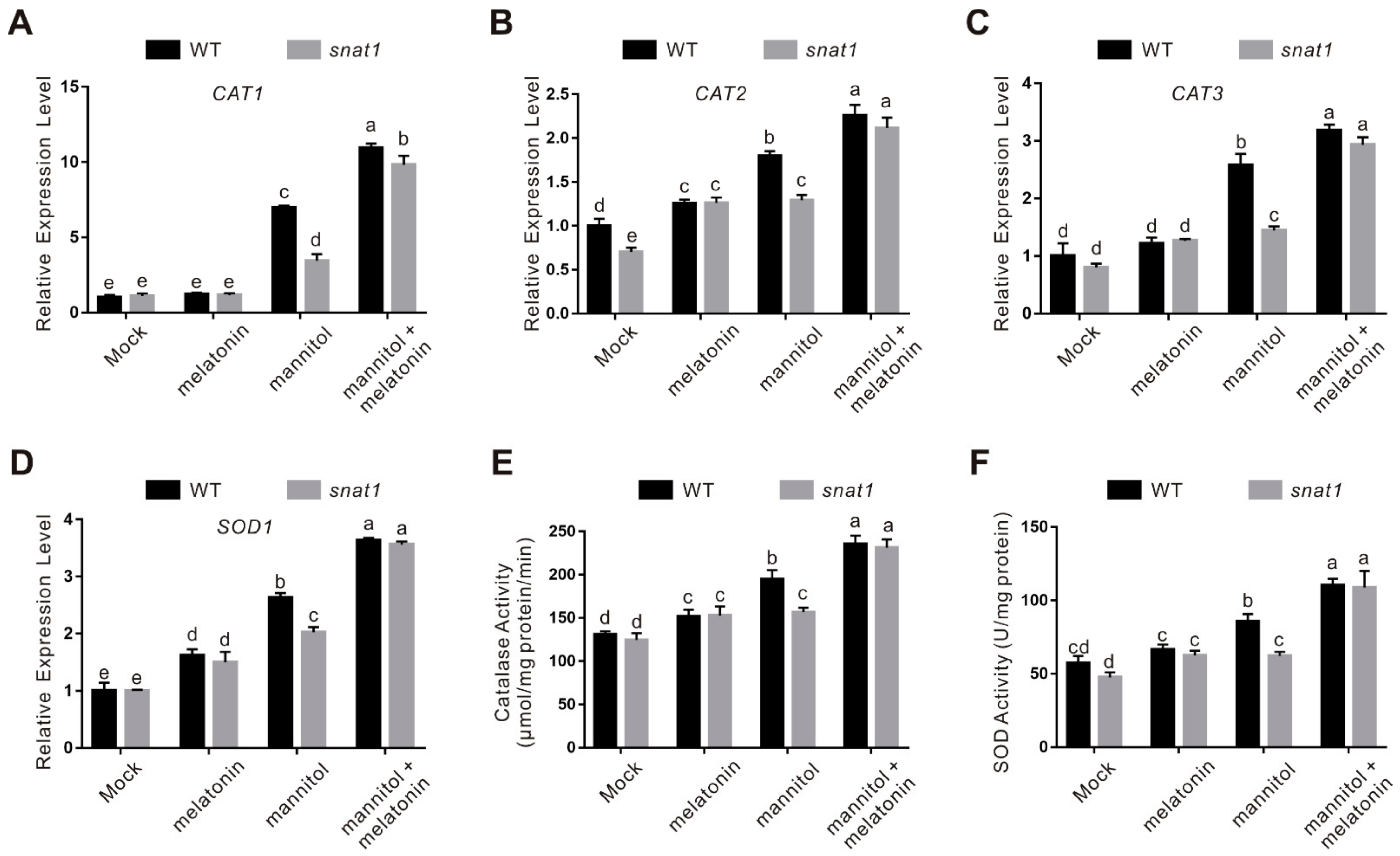Ijms 22 04014 g004 Ijms 22 04014 g004