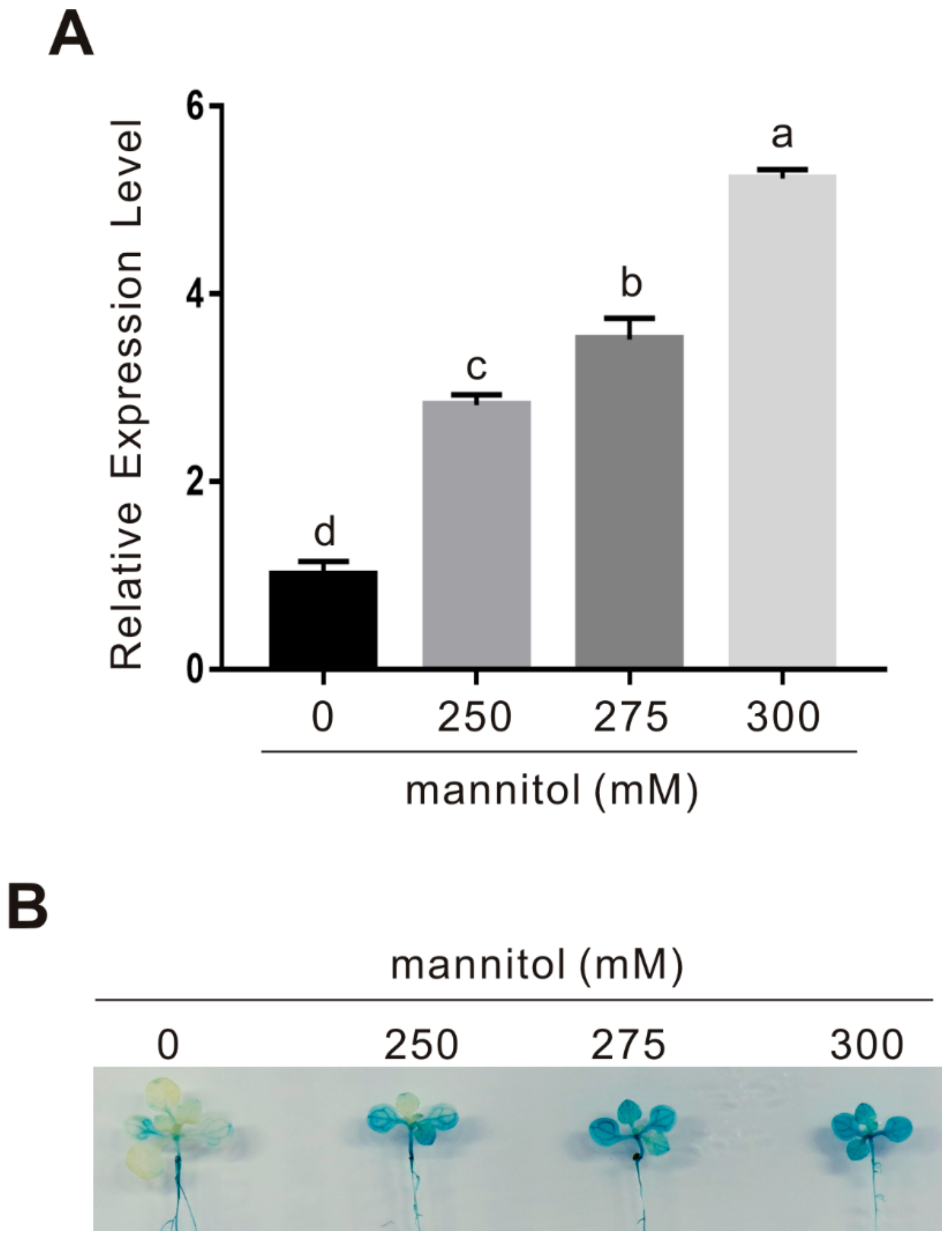 Ijms 22 04014 g005 Ijms 22 04014 g005