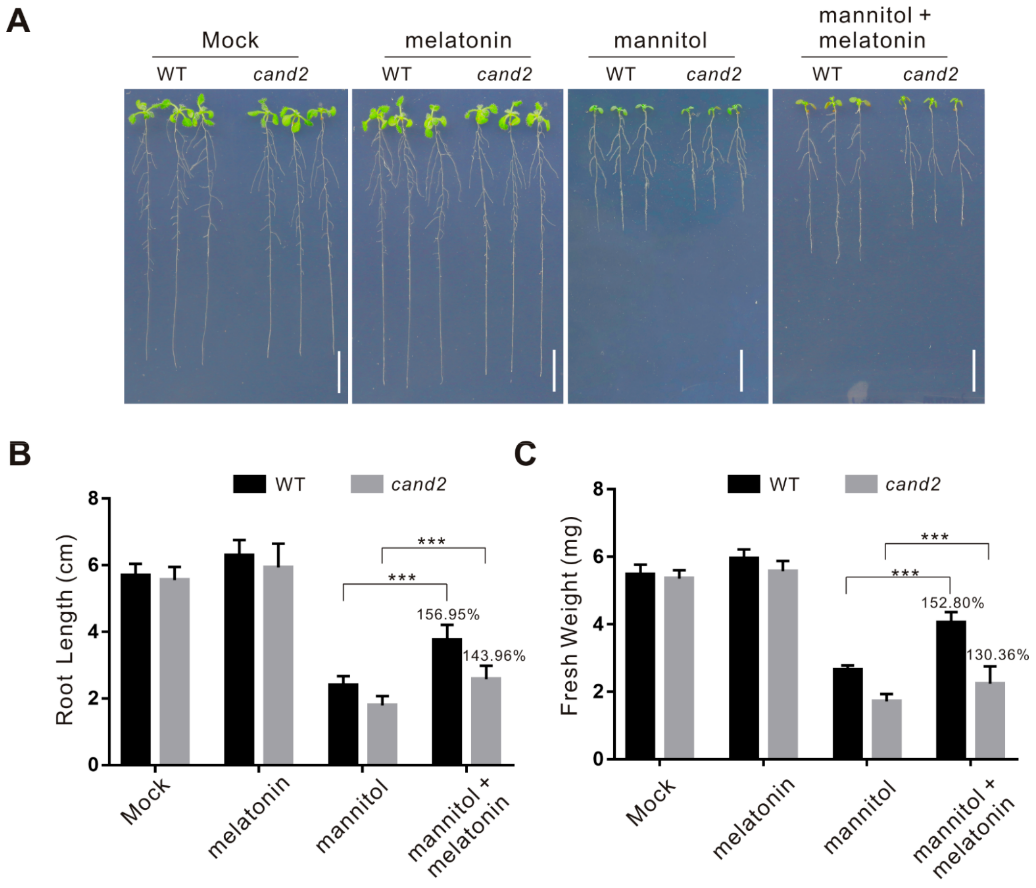 Ijms 22 04014 g006 Ijms 22 04014 g006