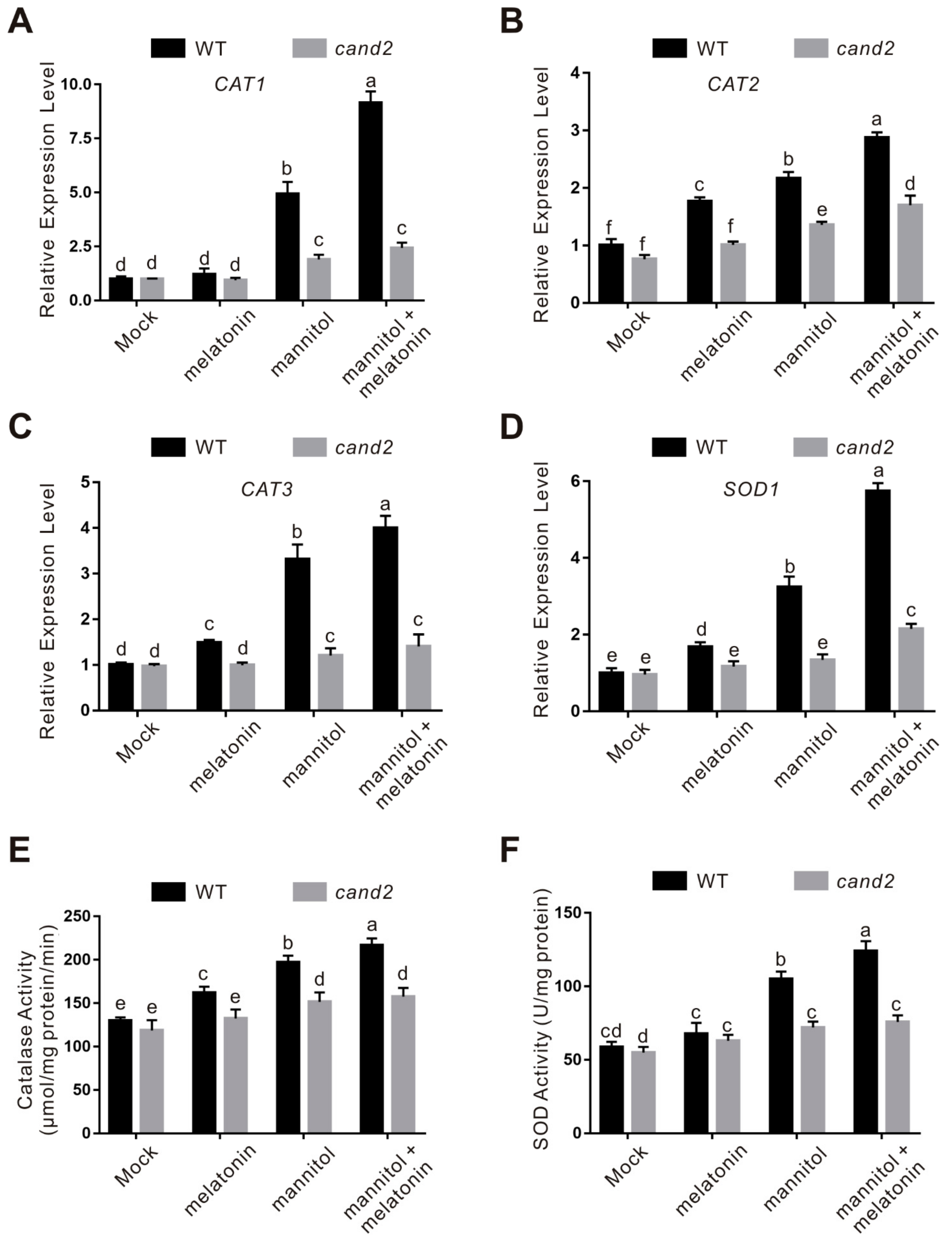 Ijms 22 04014 g008 Ijms 22 04014 g008