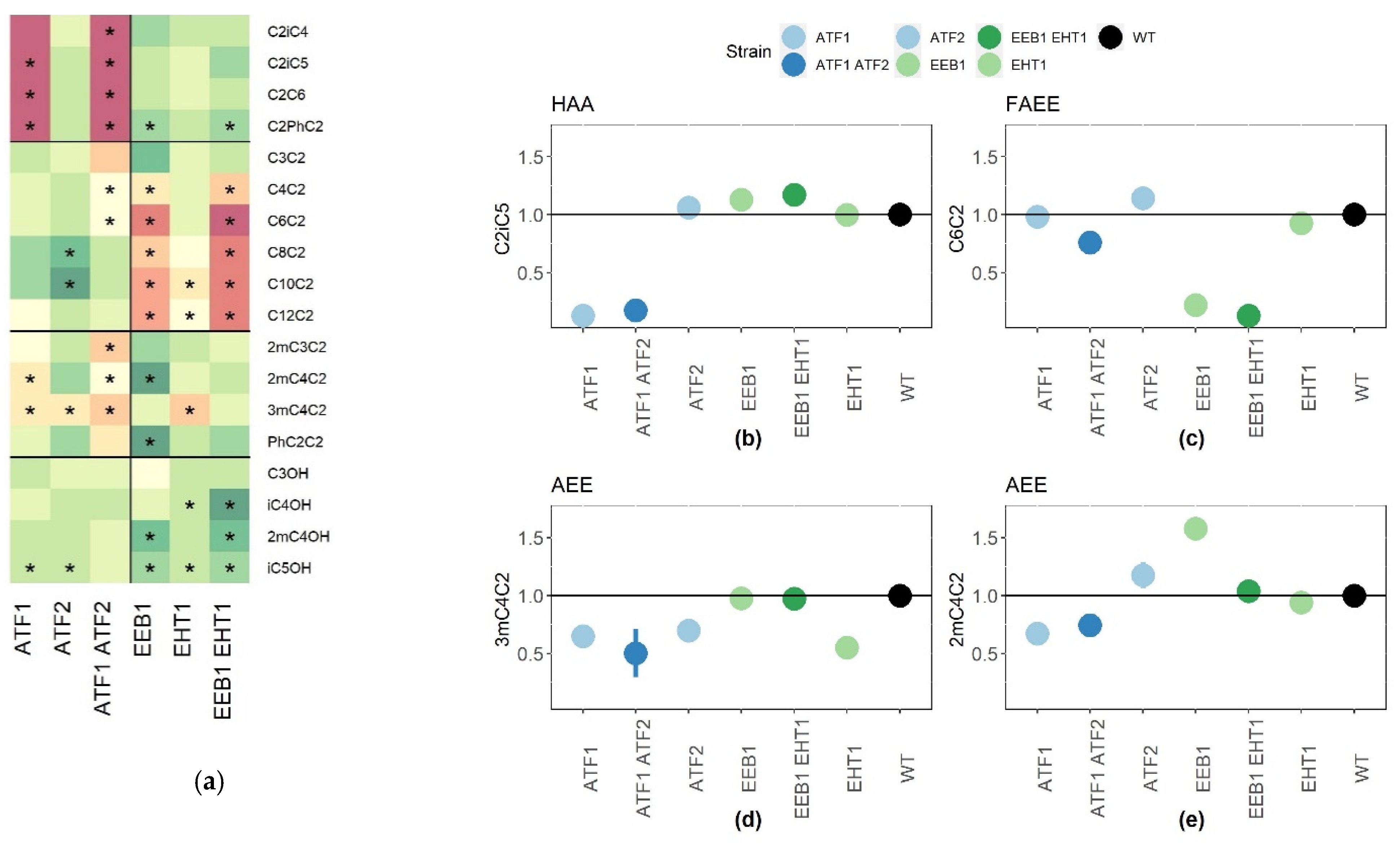 Ijms 22 04026 g001 Ijms 22 04026 g001