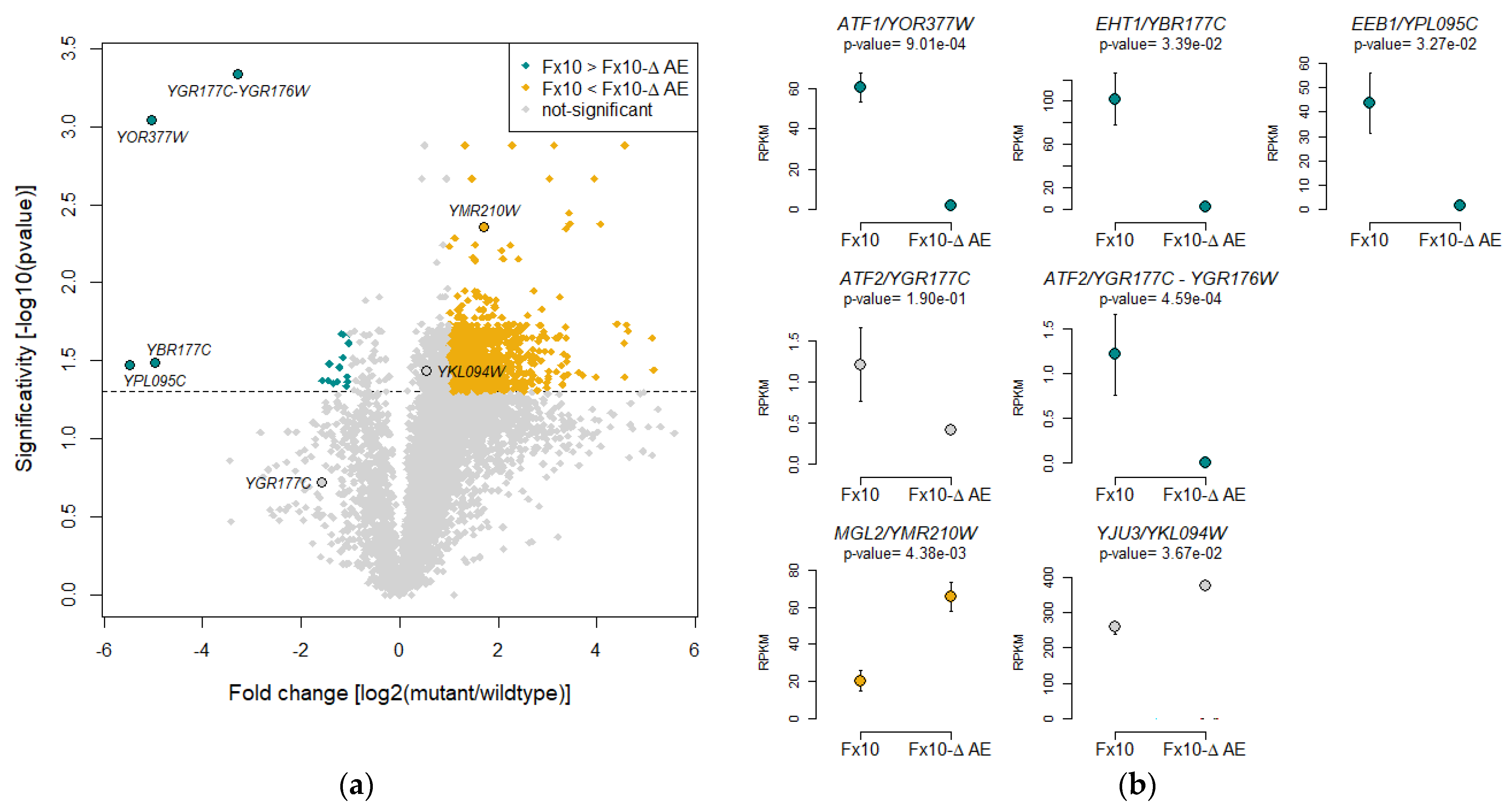 Ijms 22 04026 g006 Ijms 22 04026 g006