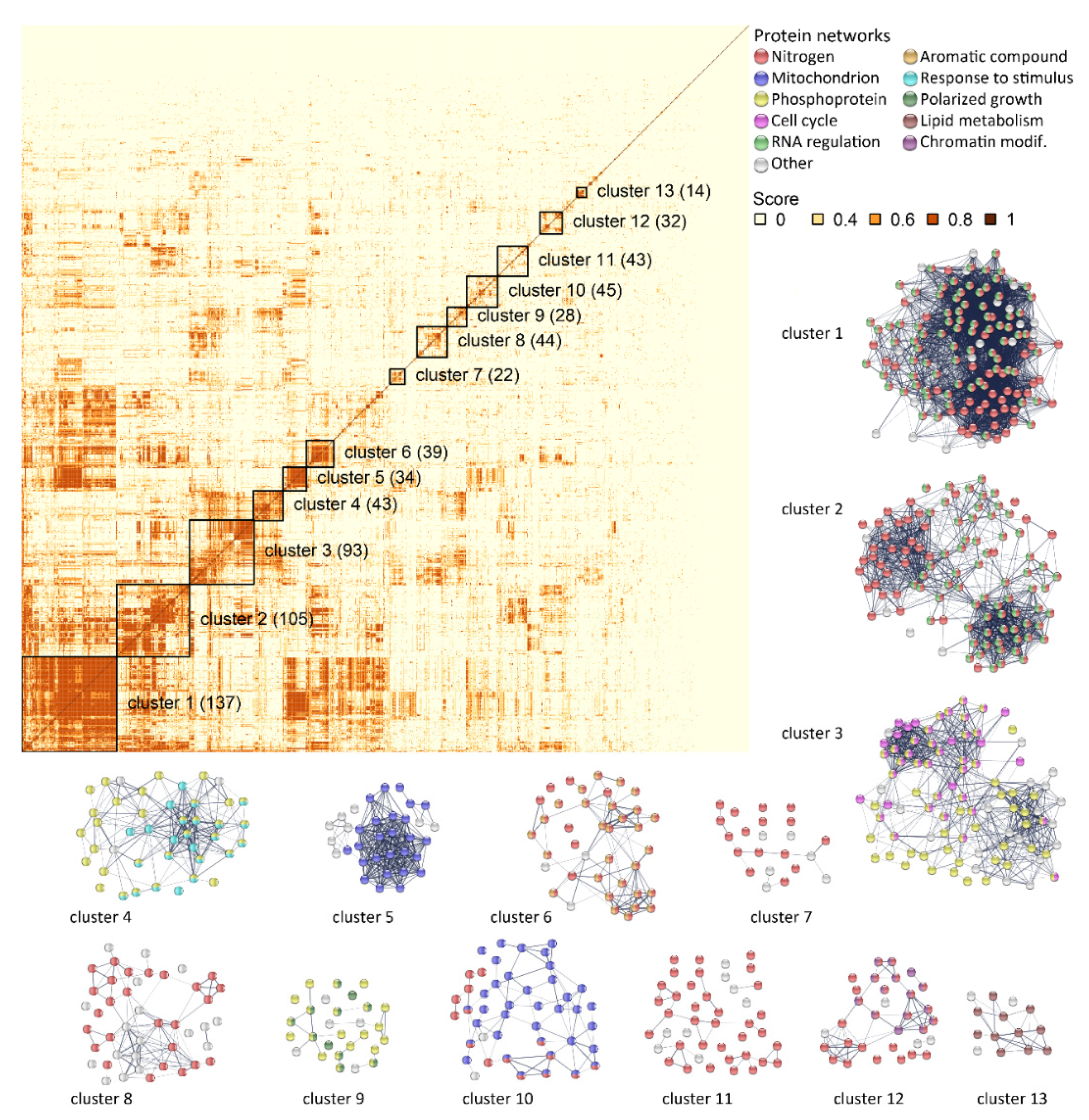 Ijms 22 04026 g007 Ijms 22 04026 g007