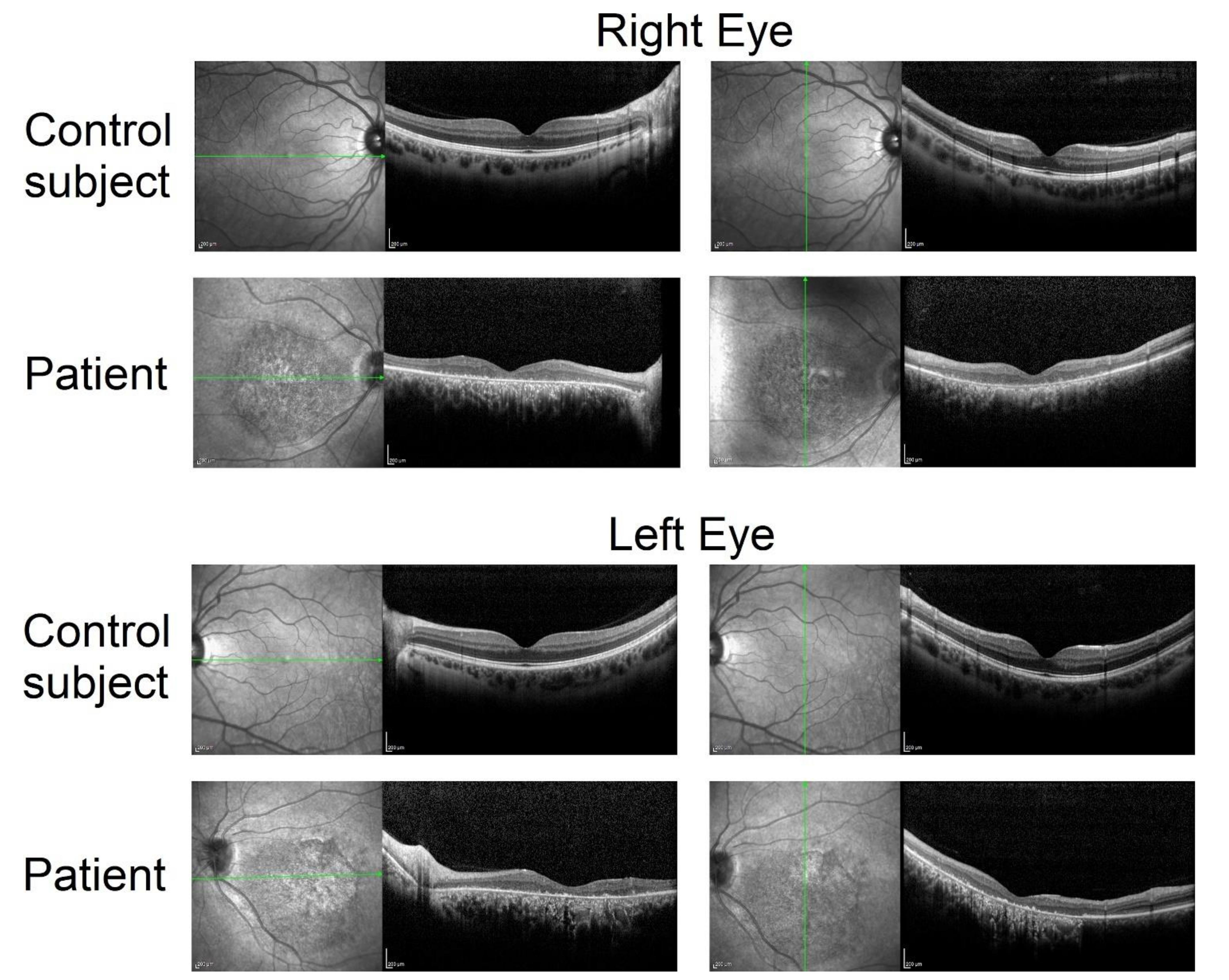 Ijms 22 04030 g001 Ijms 22 04030 g001