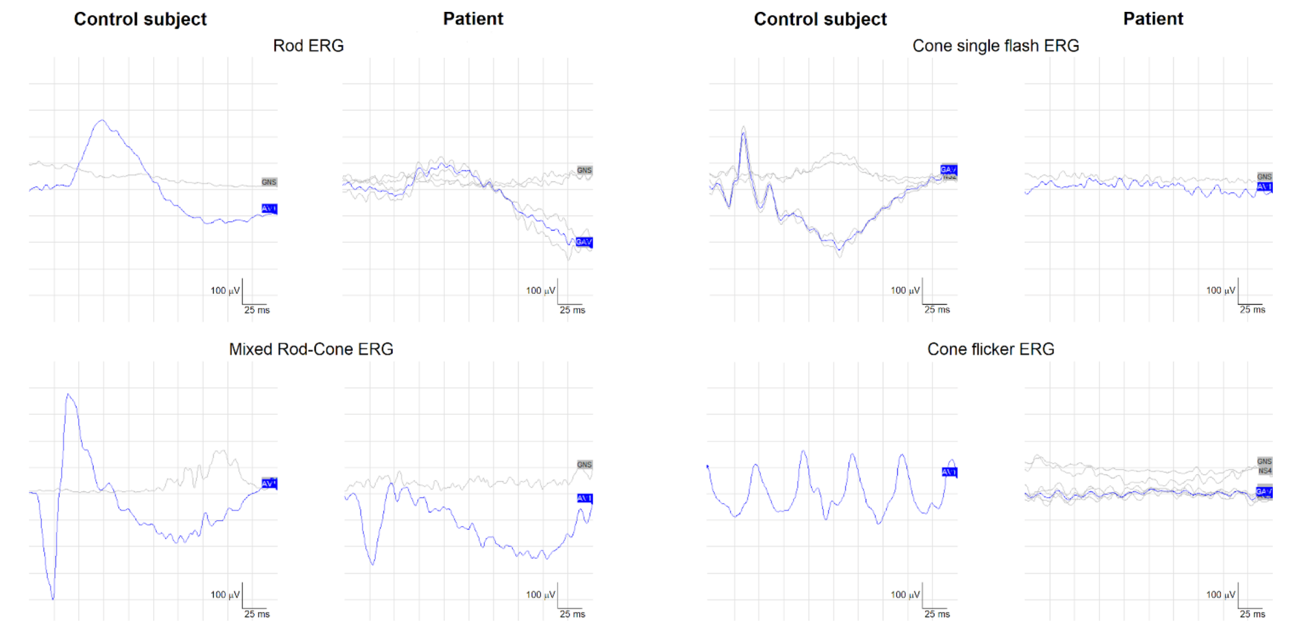 Ijms 22 04030 g002 Ijms 22 04030 g002