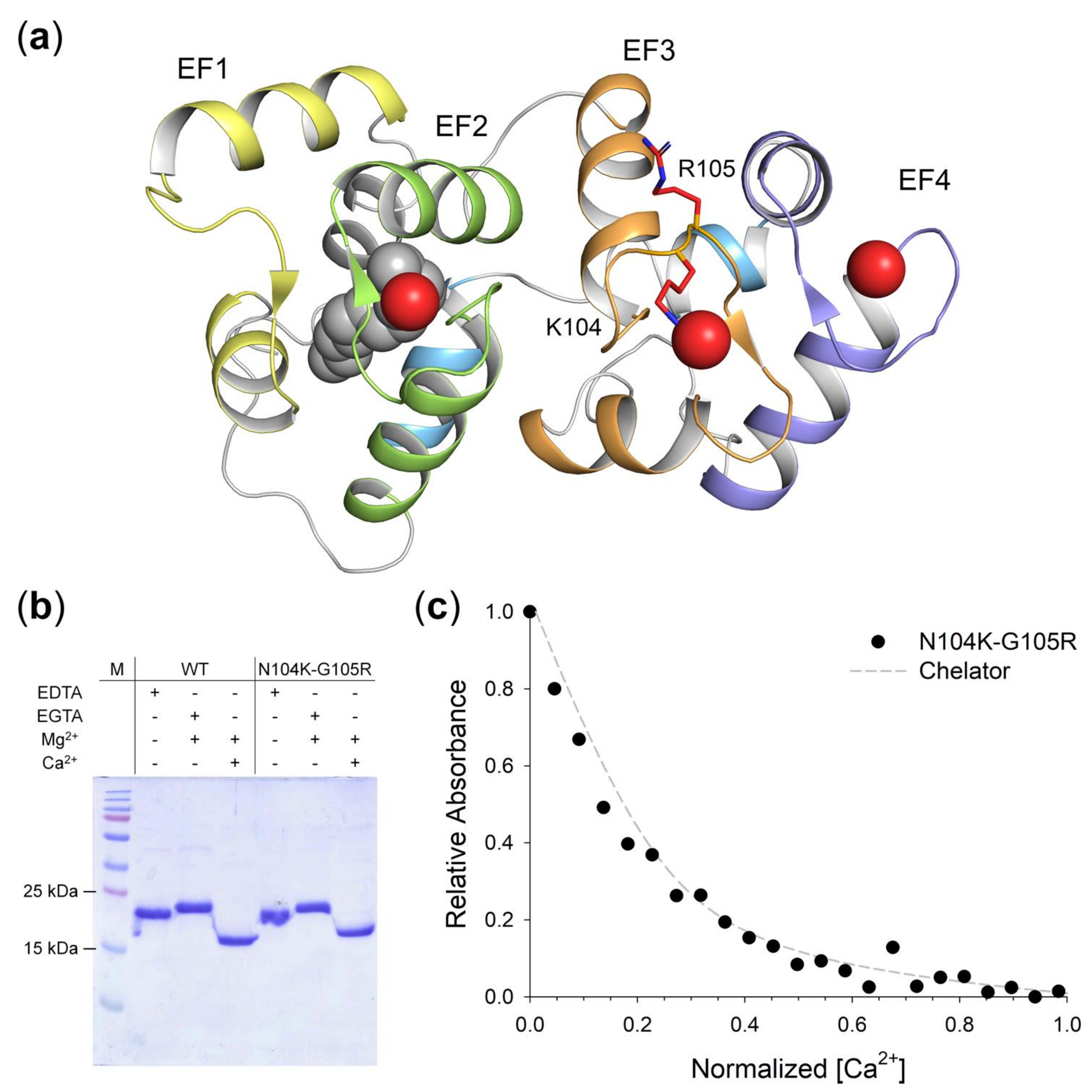 Ijms 22 04030 g004 Ijms 22 04030 g004