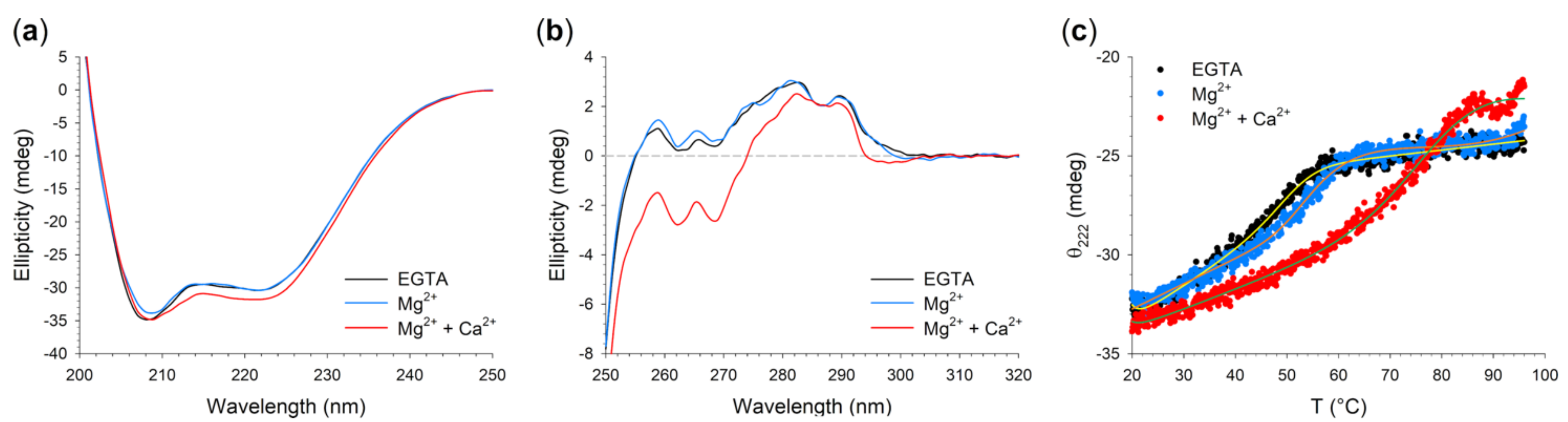 Ijms 22 04030 g006 Ijms 22 04030 g006