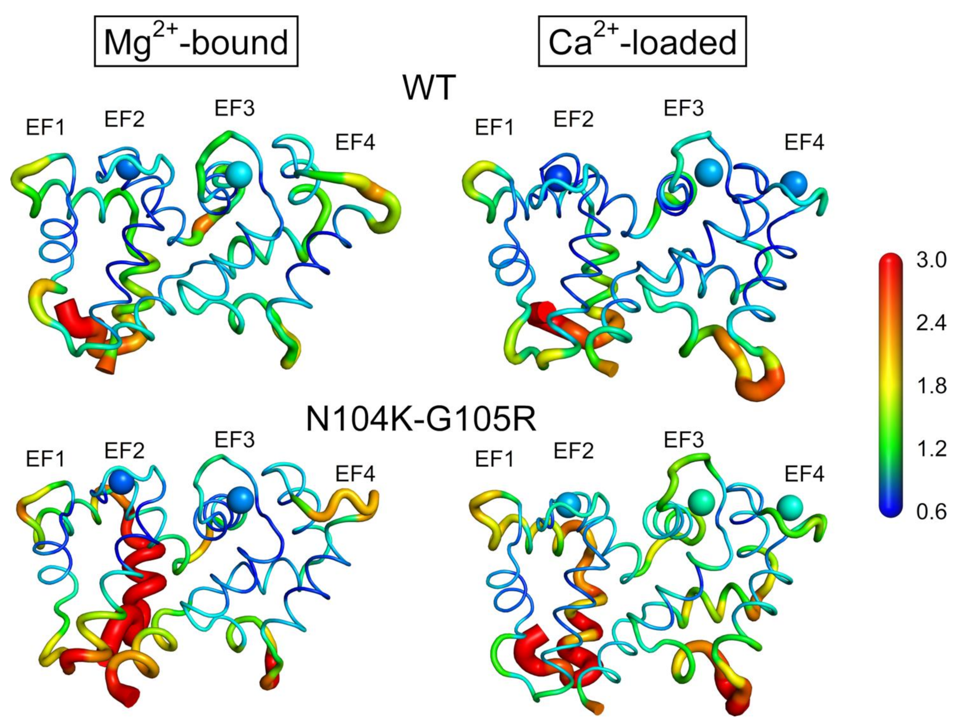 Ijms 22 04030 g007 Ijms 22 04030 g007