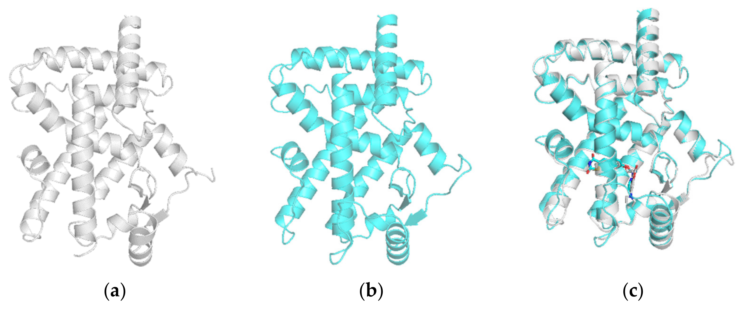Synthesis of a Coumarin-Based PPARγ Fluorescence Probe for Competitive ...