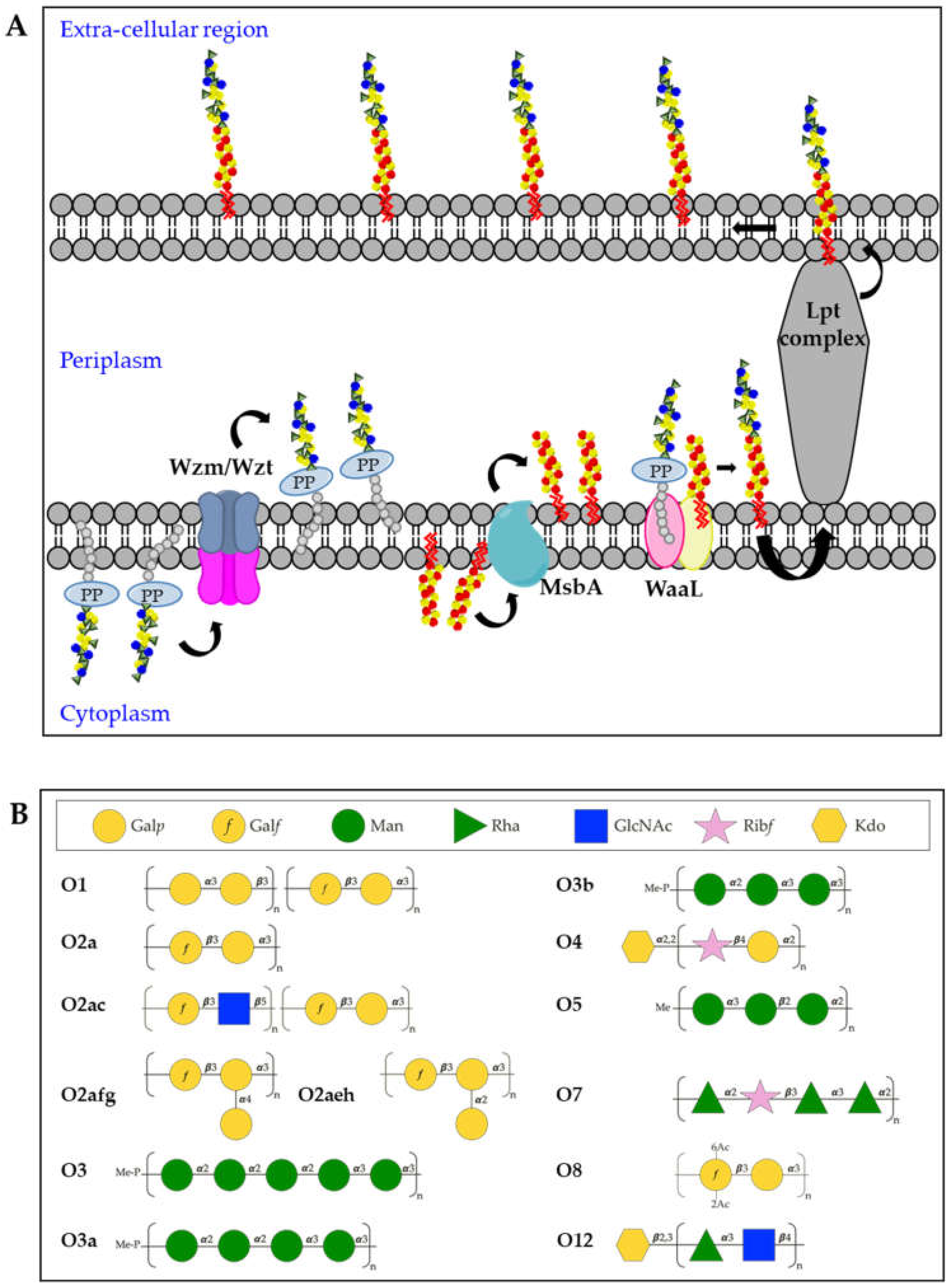 Ijms 22 04042 g003 Ijms 22 04042 g003