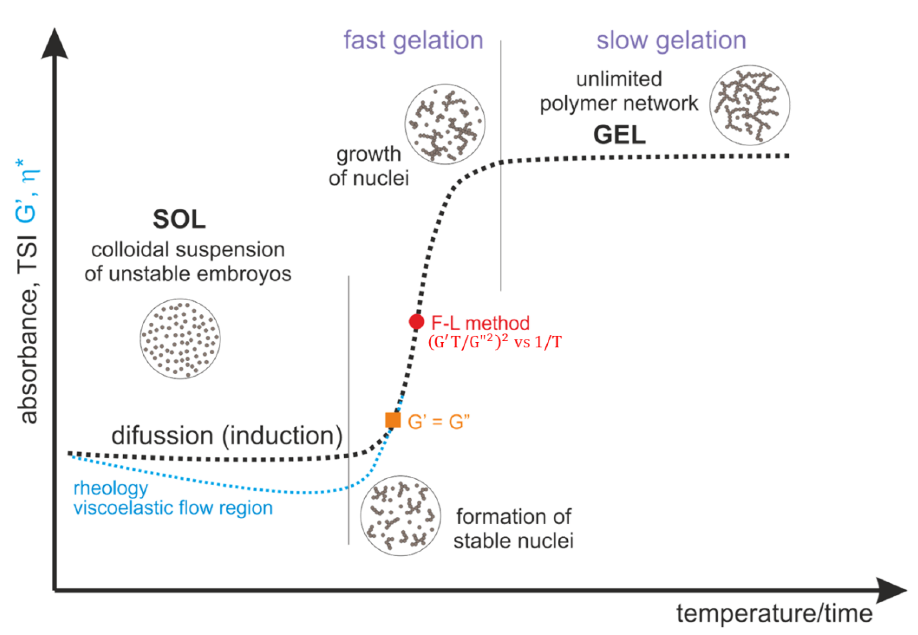 Ijms 22 04043 g013 Ijms 22 04043 g013