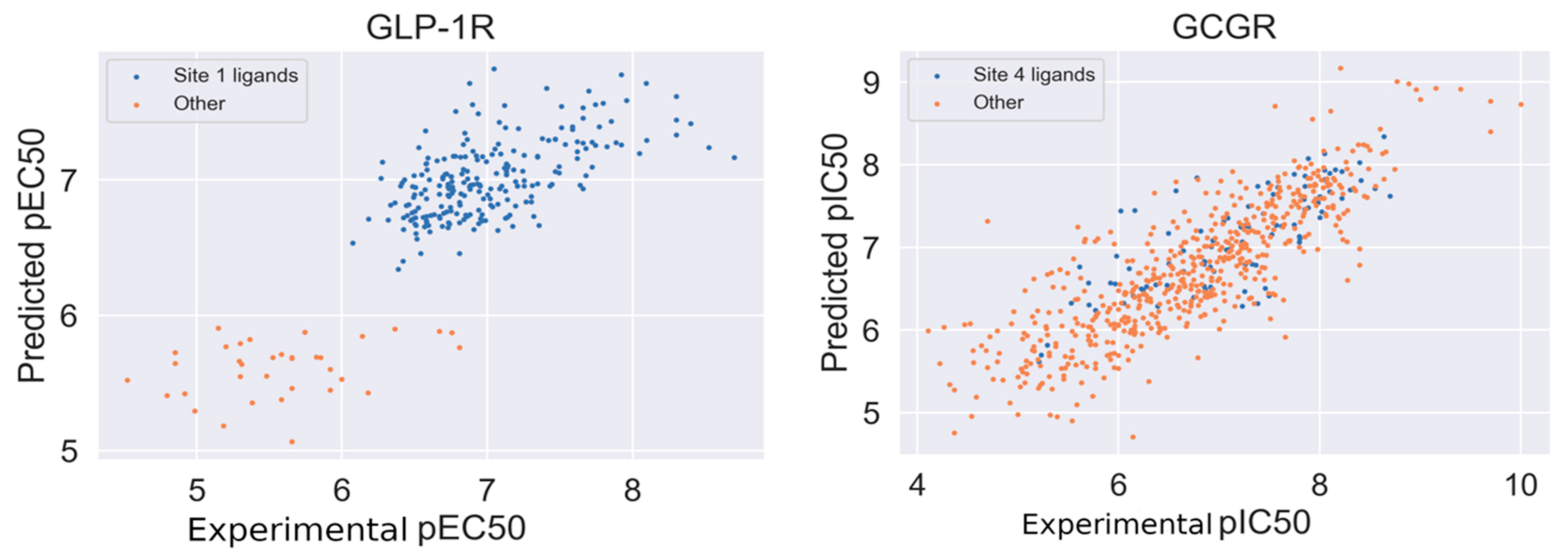 Ijms 22 04060 g005 Ijms 22 04060 g005