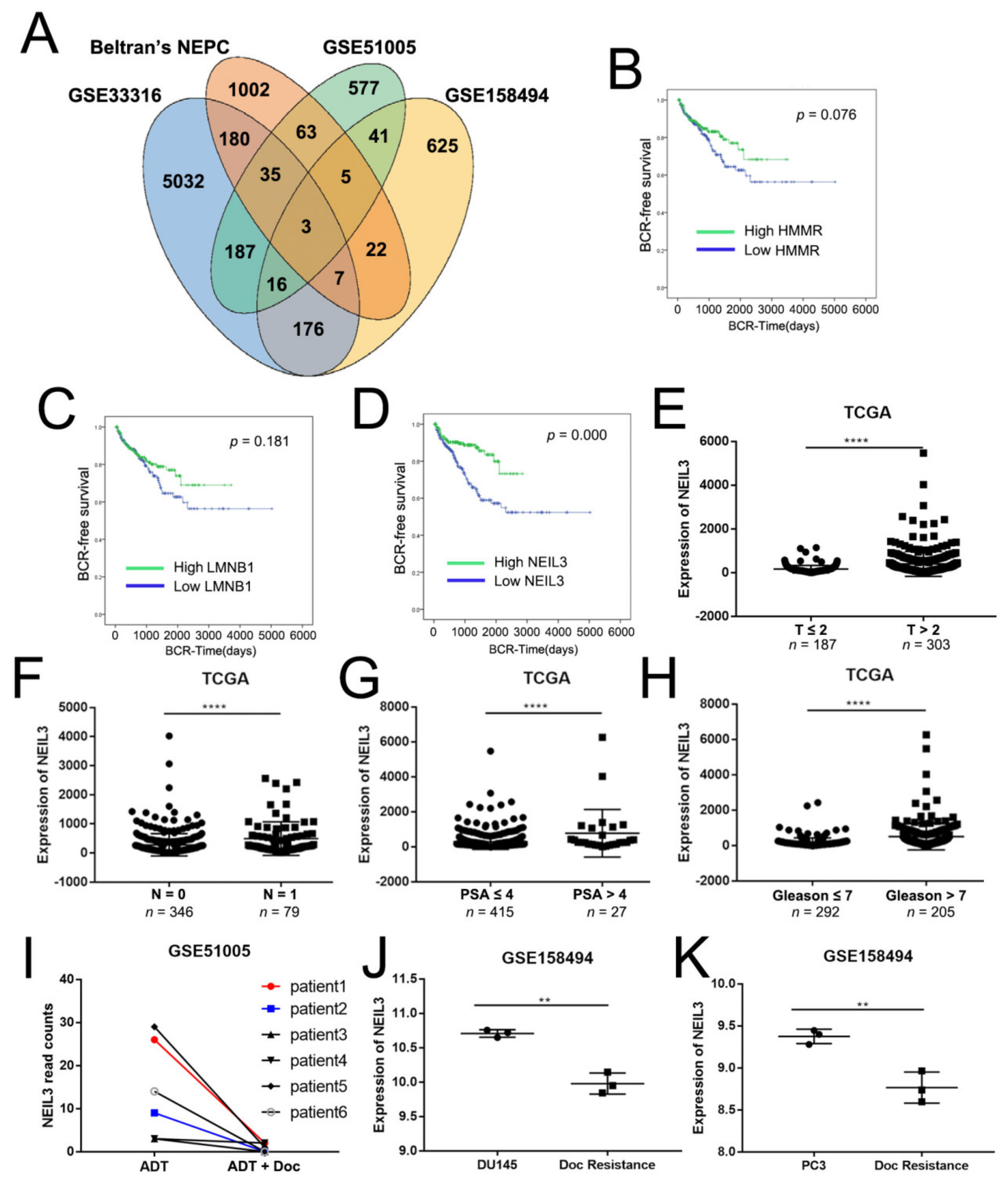 Ijms 22 04098 g001 Ijms 22 04098 g001