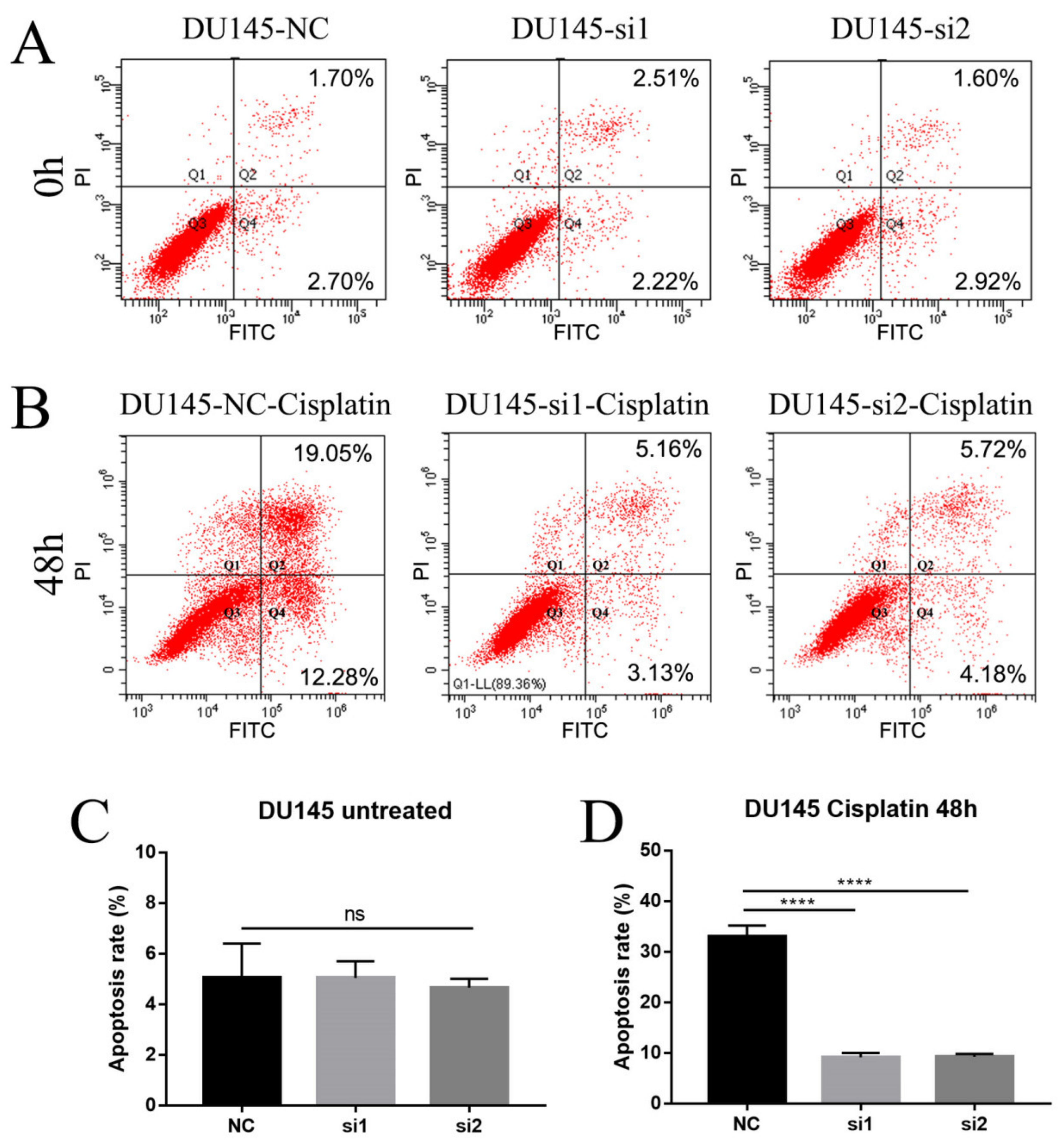 Ijms 22 04098 g005 Ijms 22 04098 g005