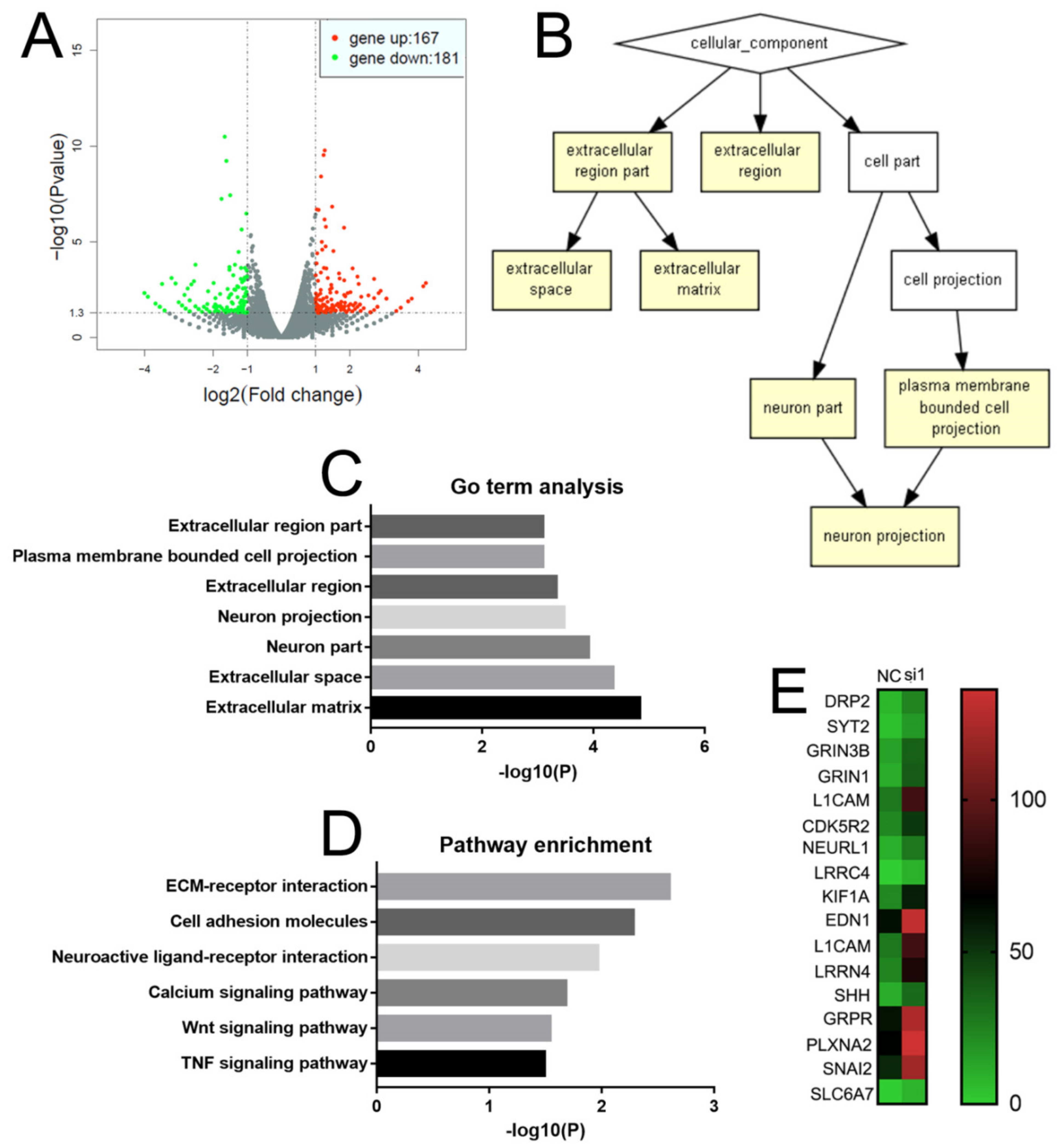 Ijms 22 04098 g006 Ijms 22 04098 g006