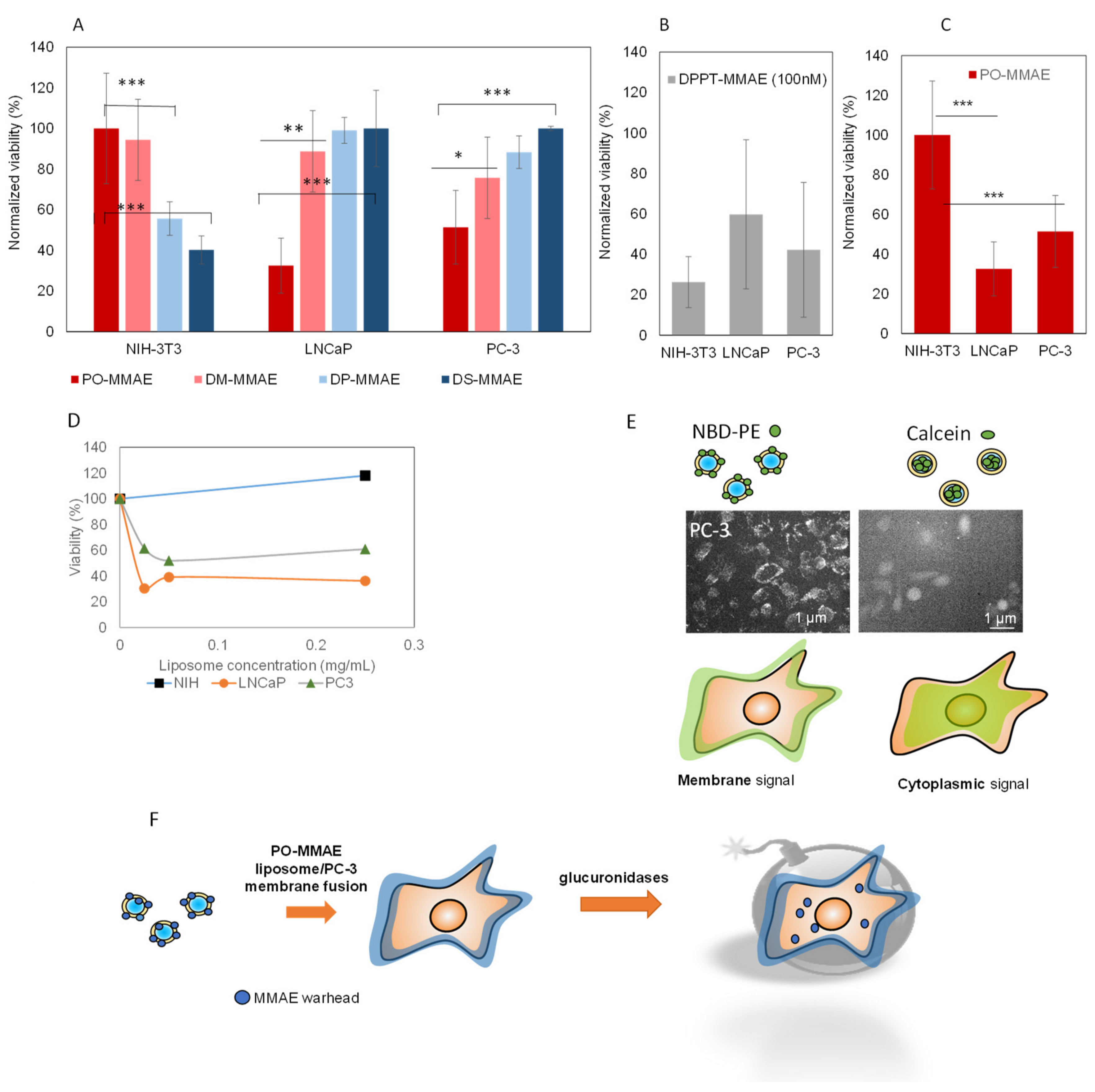 Ijms 22 04103 g006 Ijms 22 04103 g006