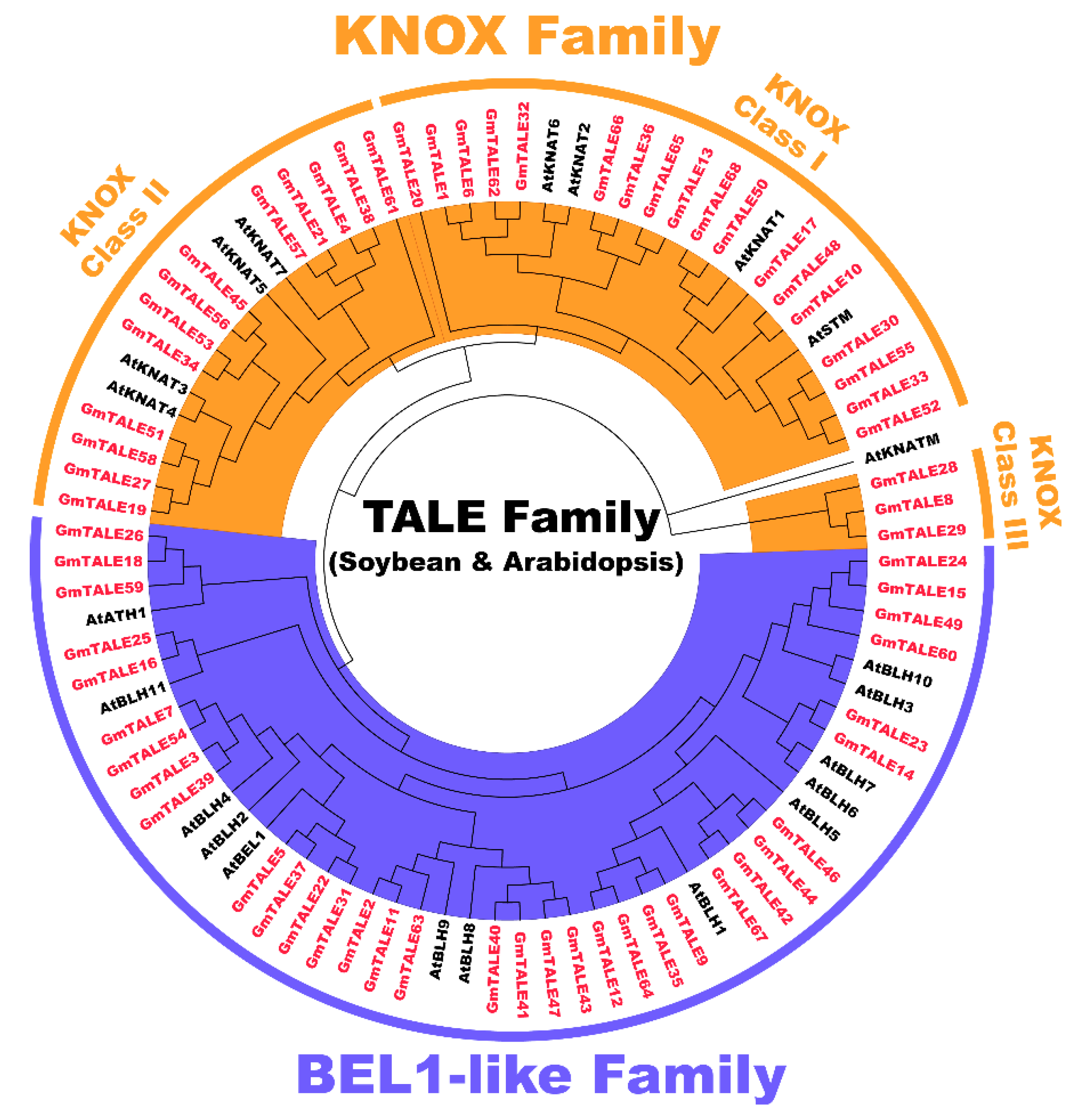 Ijms 22 04117 g001 Ijms 22 04117 g001