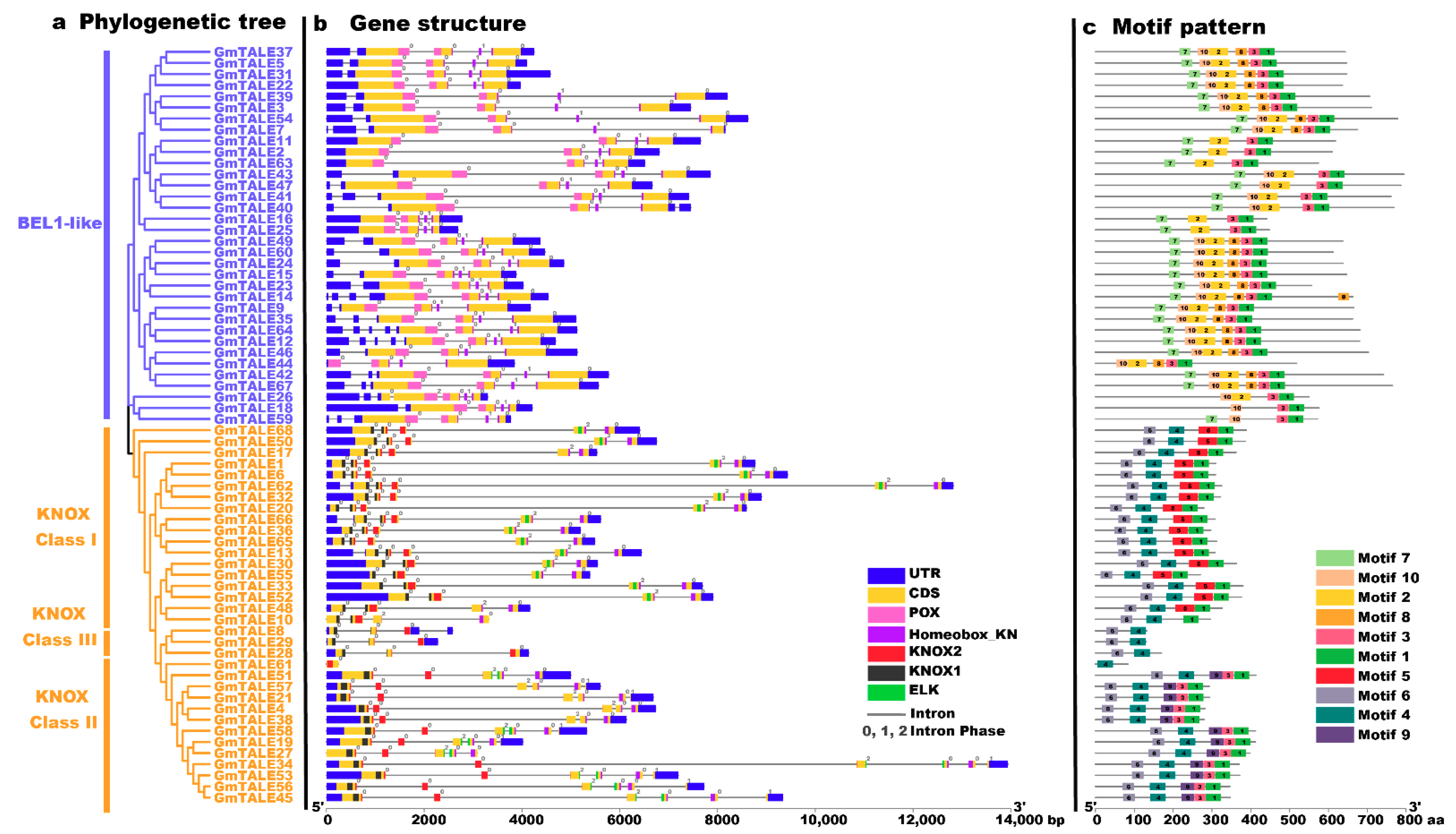 Ijms 22 04117 g002 Ijms 22 04117 g002