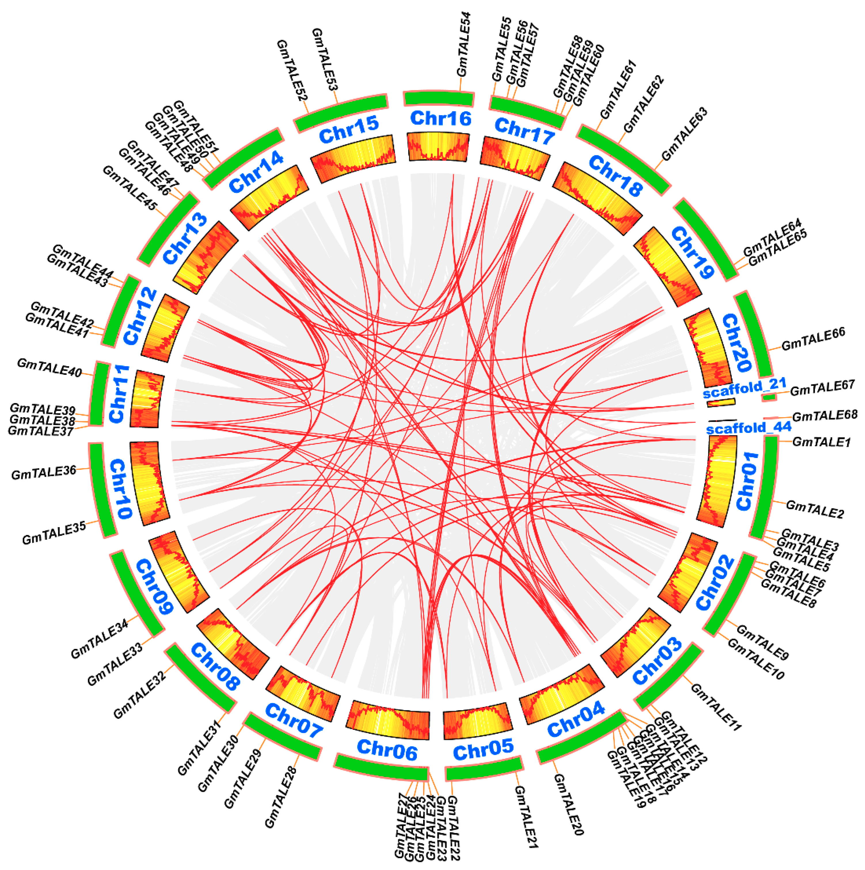 Ijms 22 04117 g004 Ijms 22 04117 g004