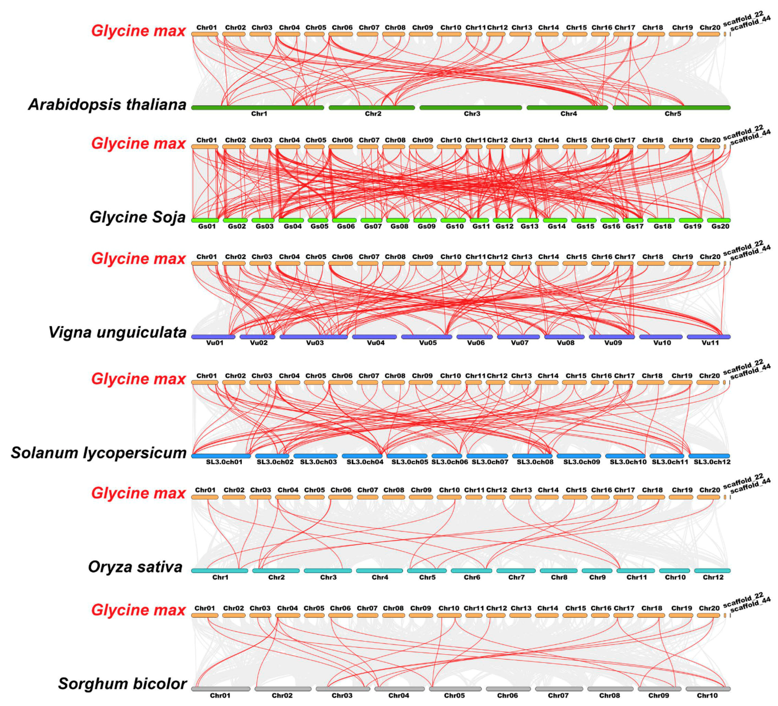 Ijms 22 04117 g005 Ijms 22 04117 g005