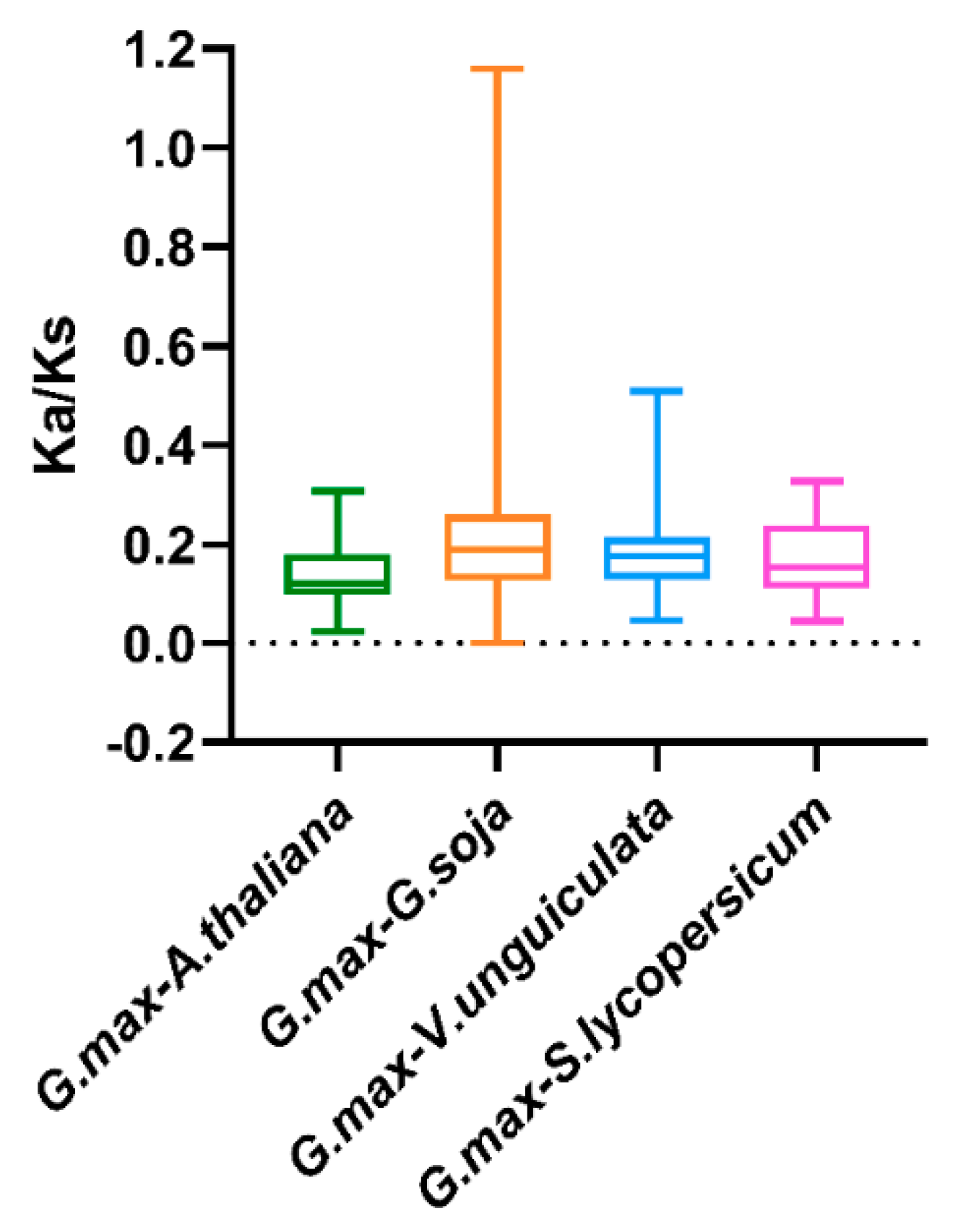 Ijms 22 04117 g006 Ijms 22 04117 g006