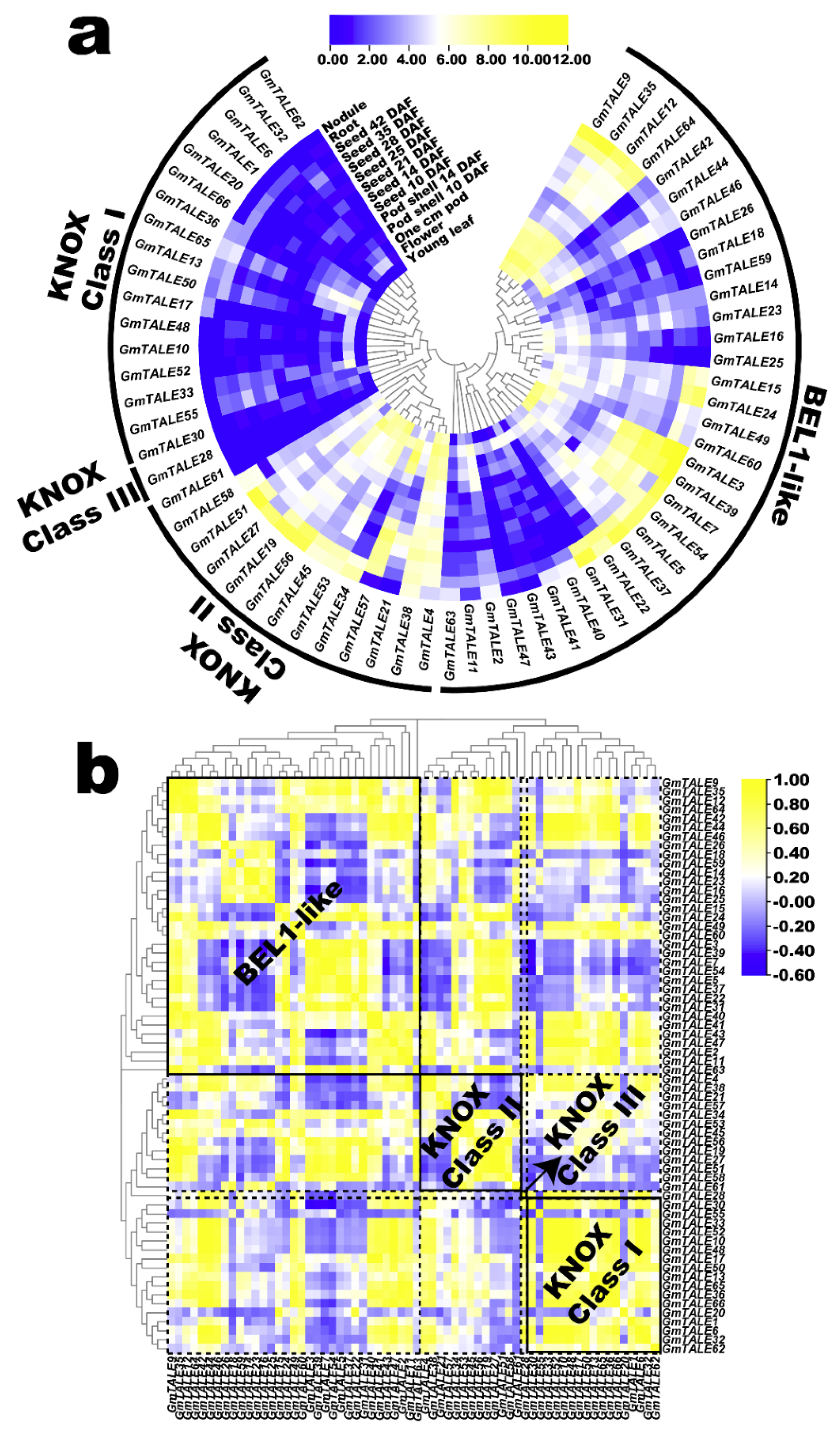 Ijms 22 04117 g007 Ijms 22 04117 g007