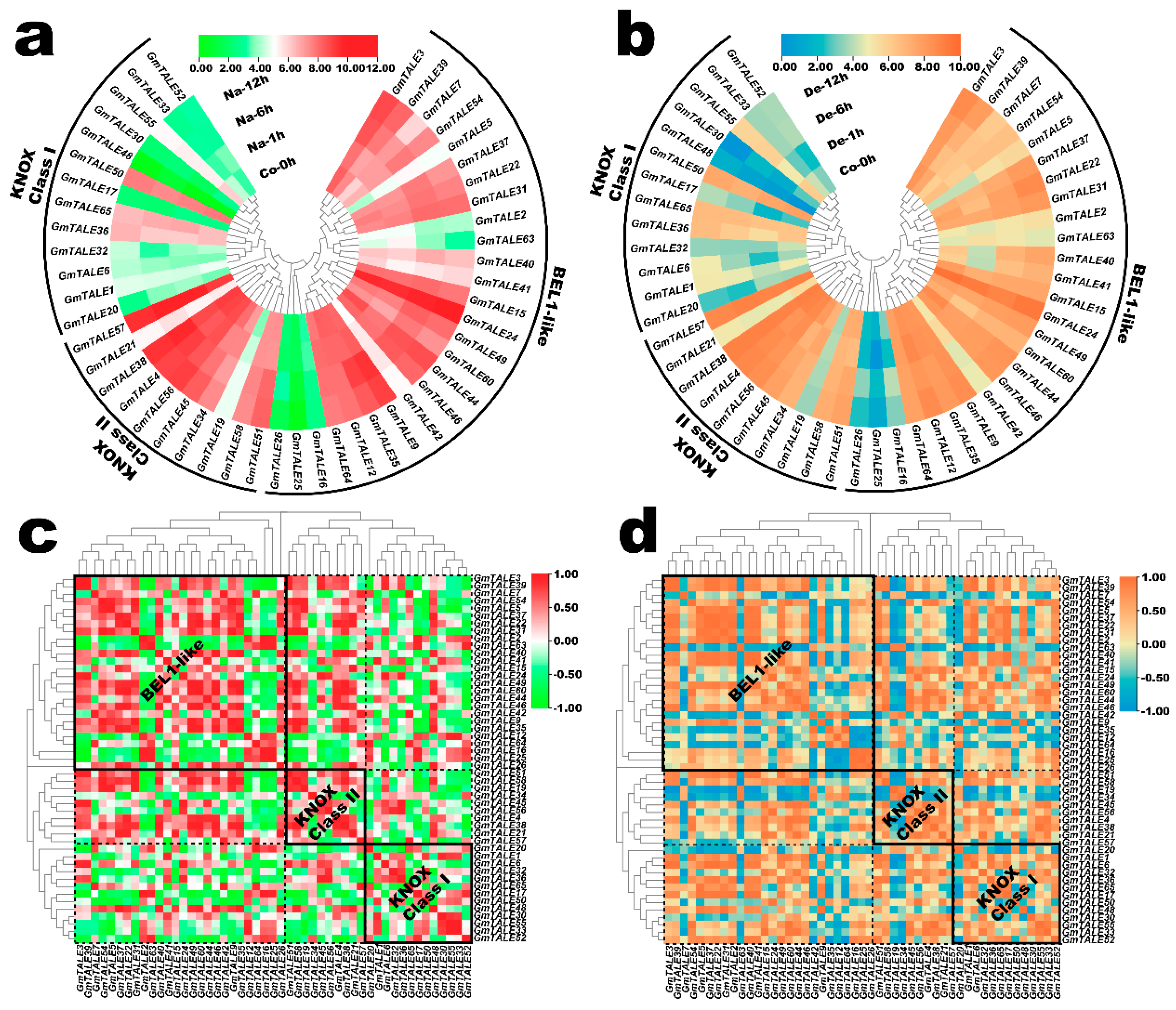 Ijms 22 04117 g008 Ijms 22 04117 g008