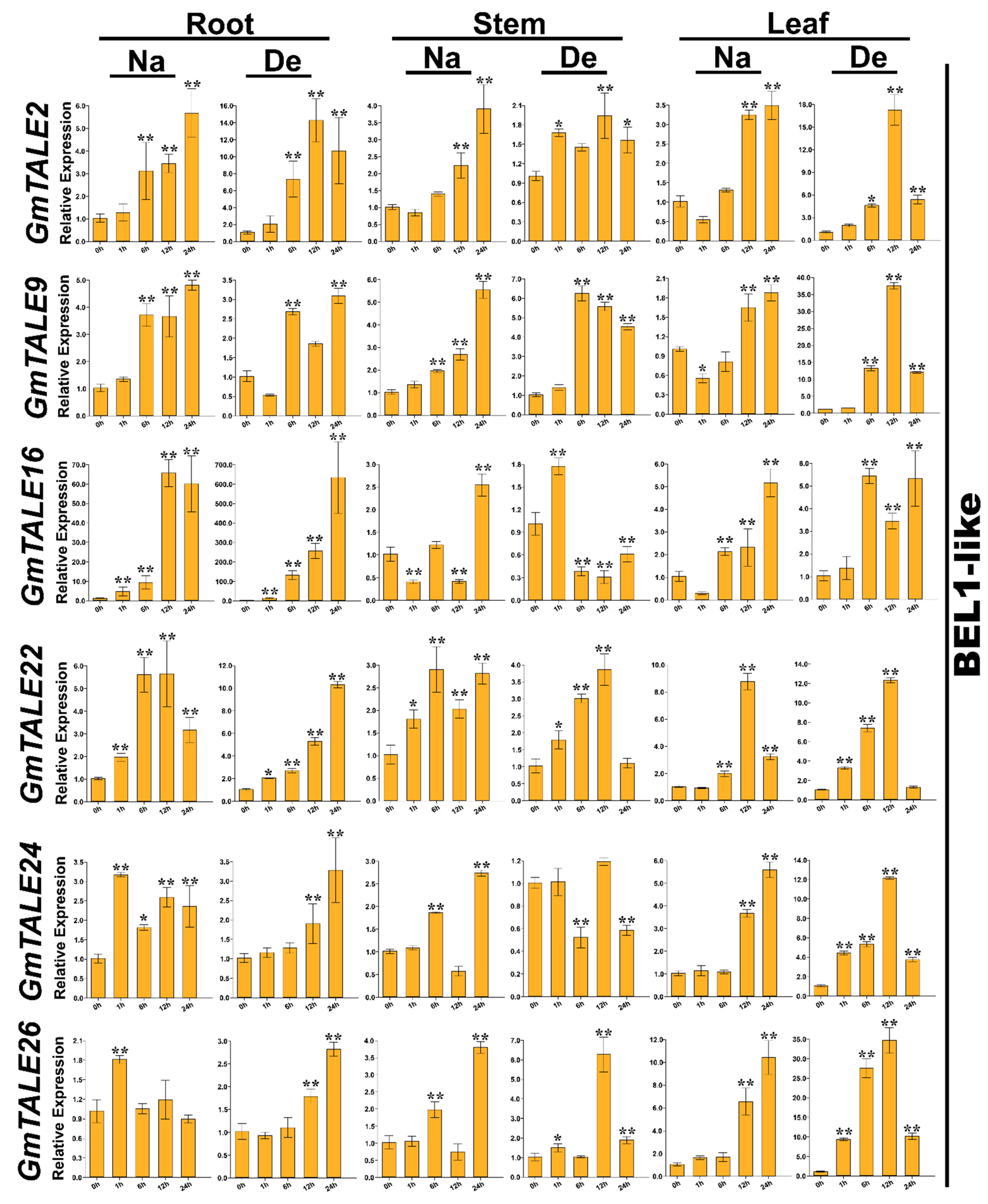 Ijms 22 04117 g009 Ijms 22 04117 g009