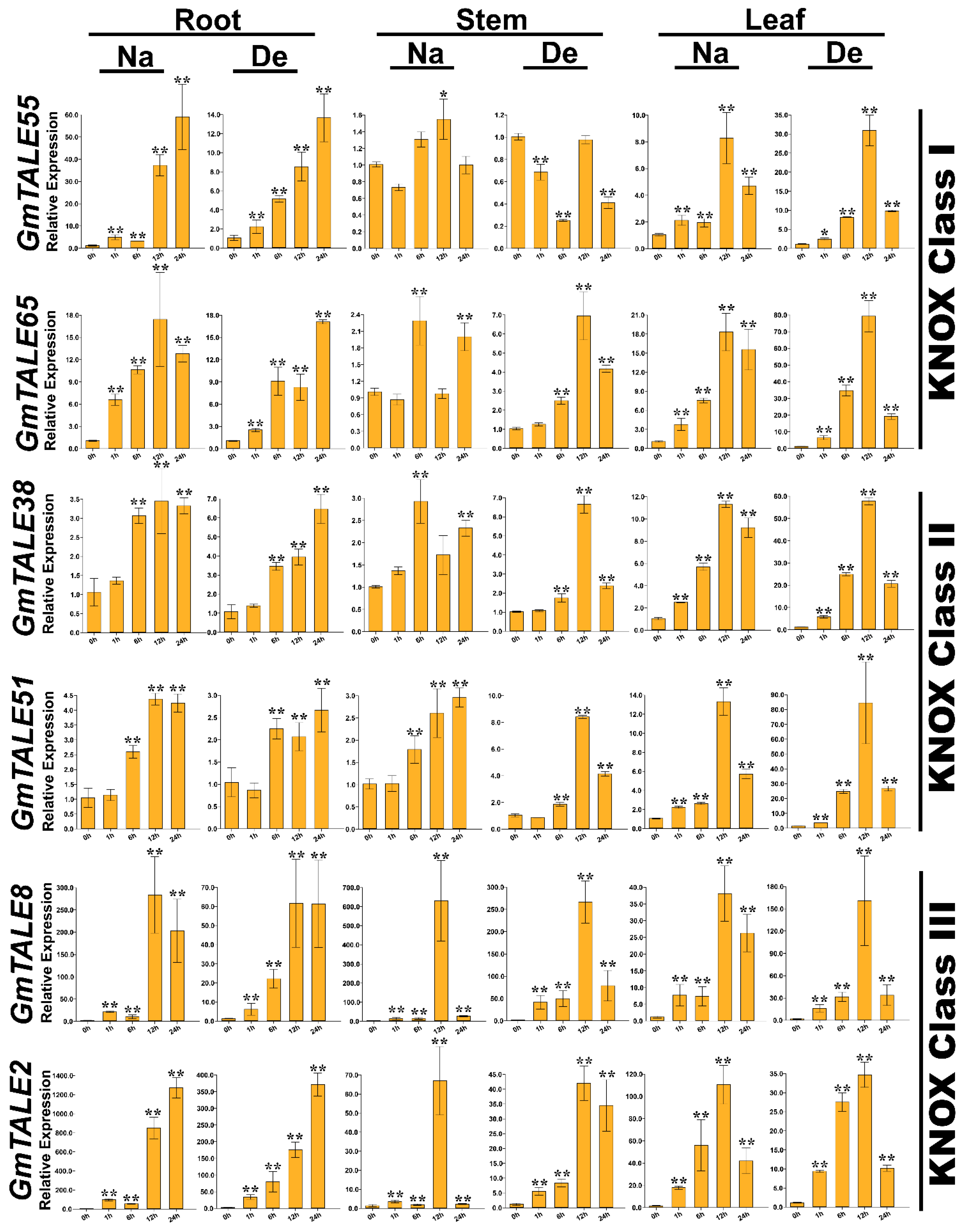 Ijms 22 04117 g010 Ijms 22 04117 g010