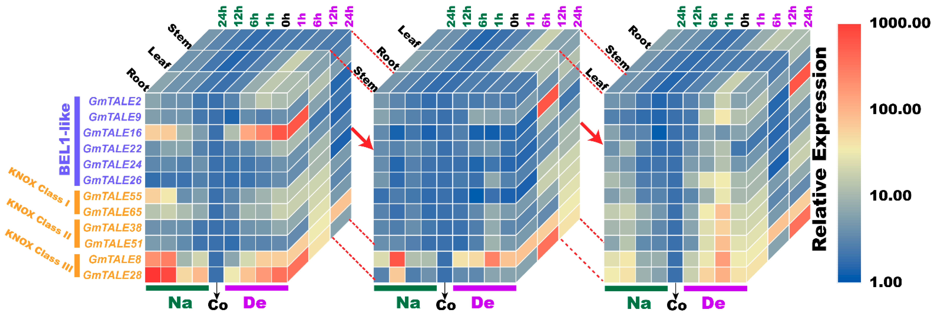 Ijms 22 04117 g011 Ijms 22 04117 g011