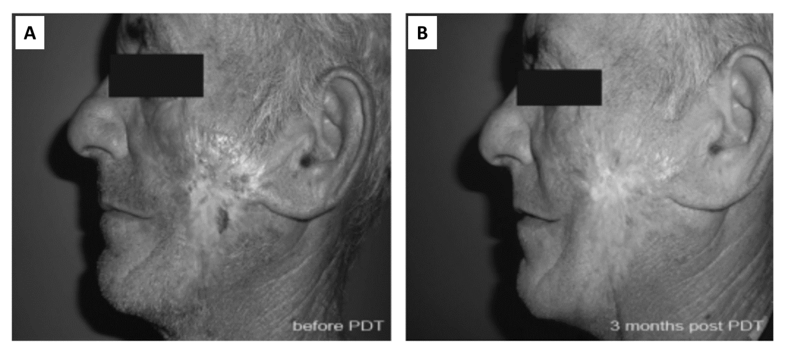 Ijms 22 04121 g006 Ijms 22 04121 g006