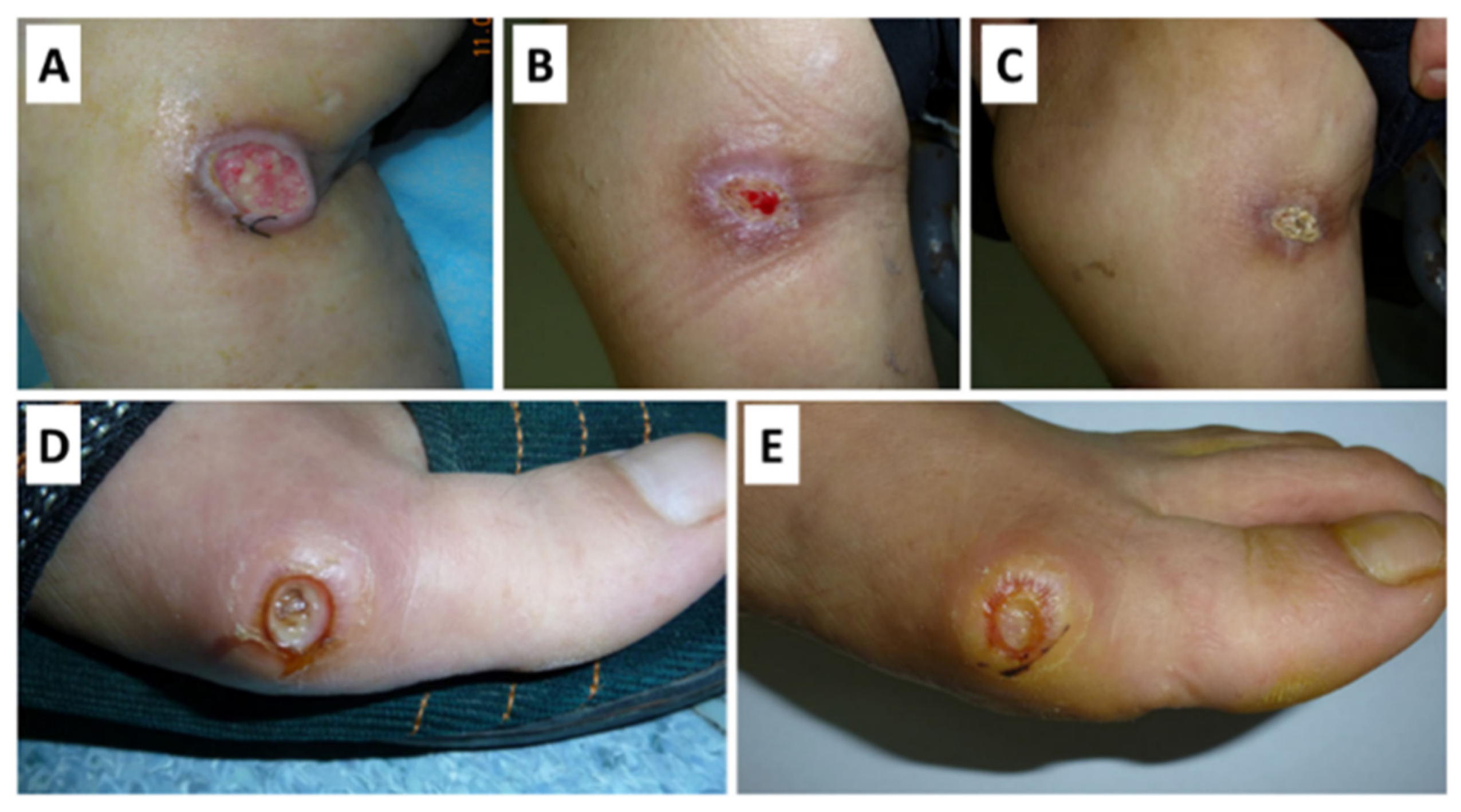 Ijms 22 04121 g009 Ijms 22 04121 g009