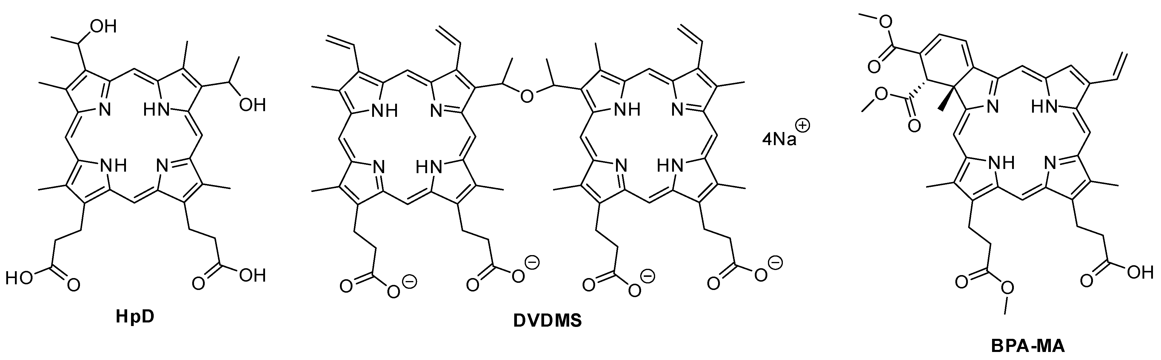 Ijms 22 04121 g015 Ijms 22 04121 g015