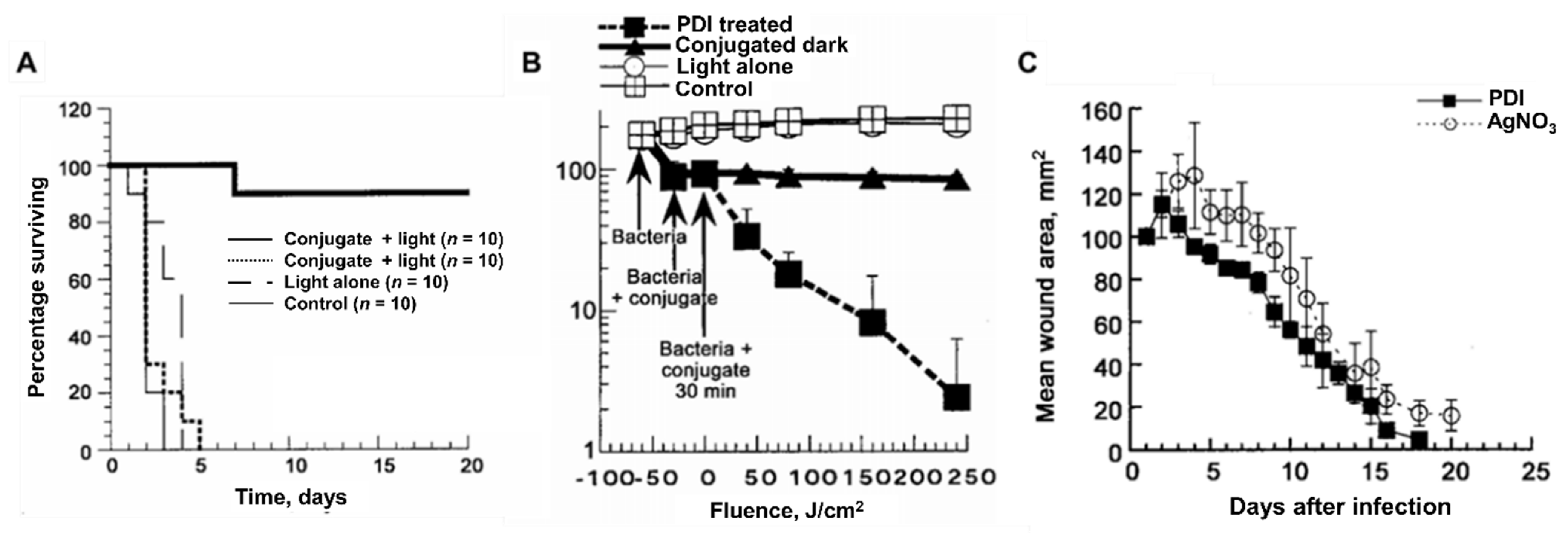 Ijms 22 04121 g018 Ijms 22 04121 g018