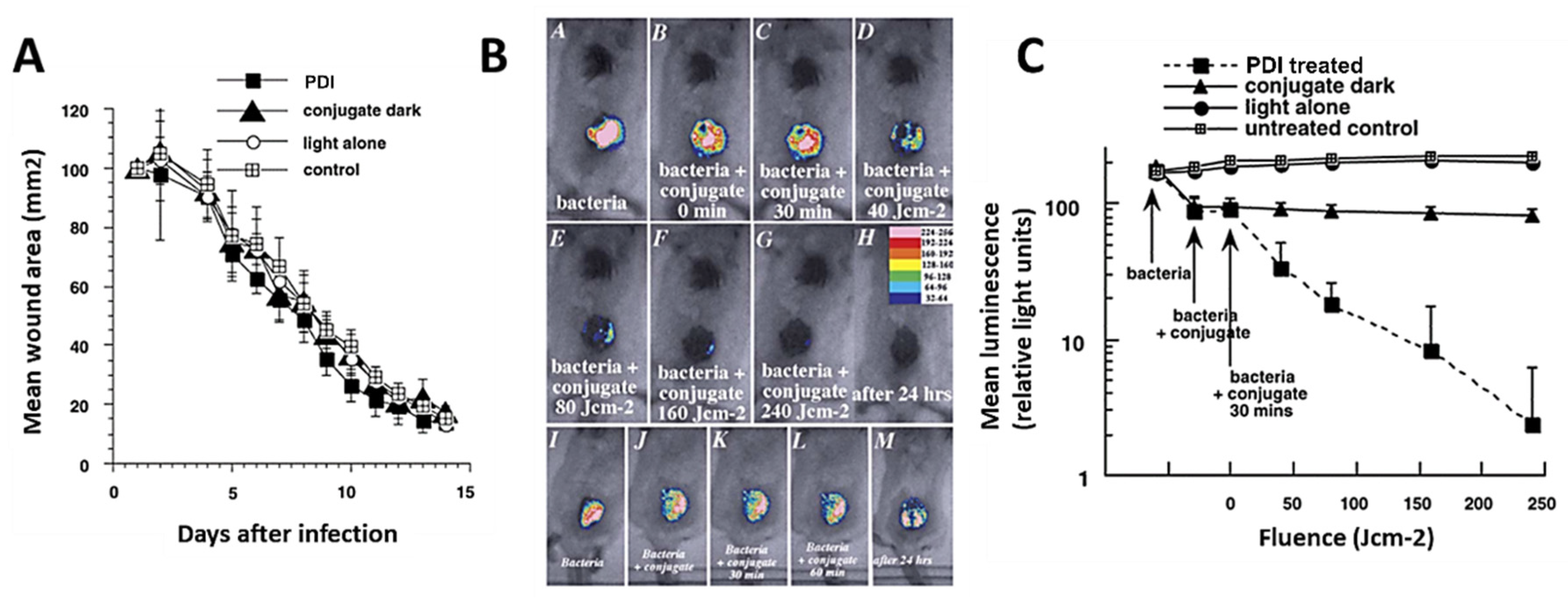 Ijms 22 04121 g019 Ijms 22 04121 g019