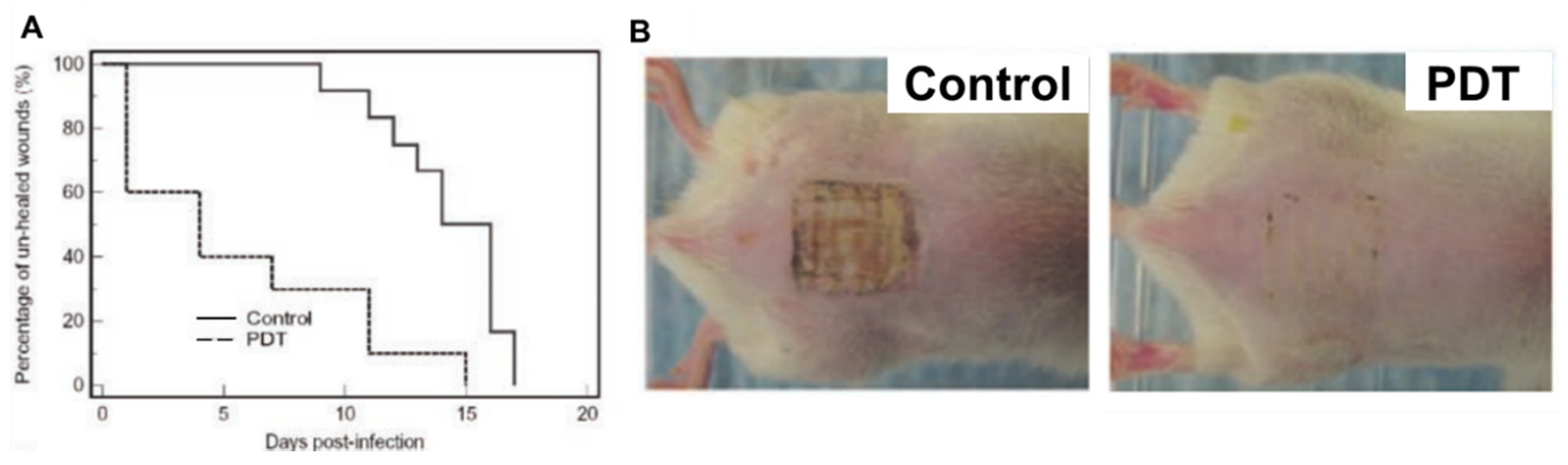 Ijms 22 04121 g020 Ijms 22 04121 g020