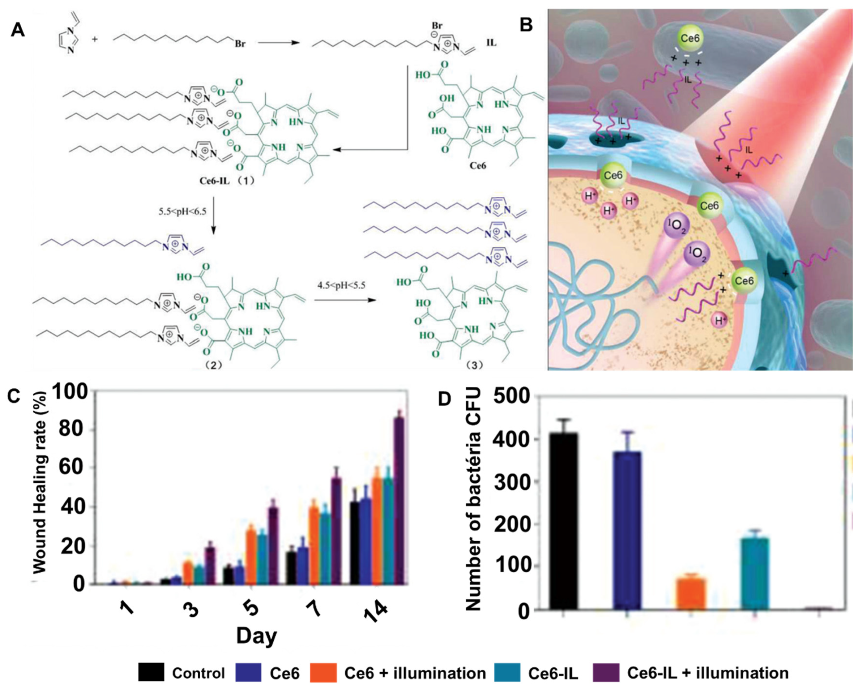 Ijms 22 04121 g022 Ijms 22 04121 g022