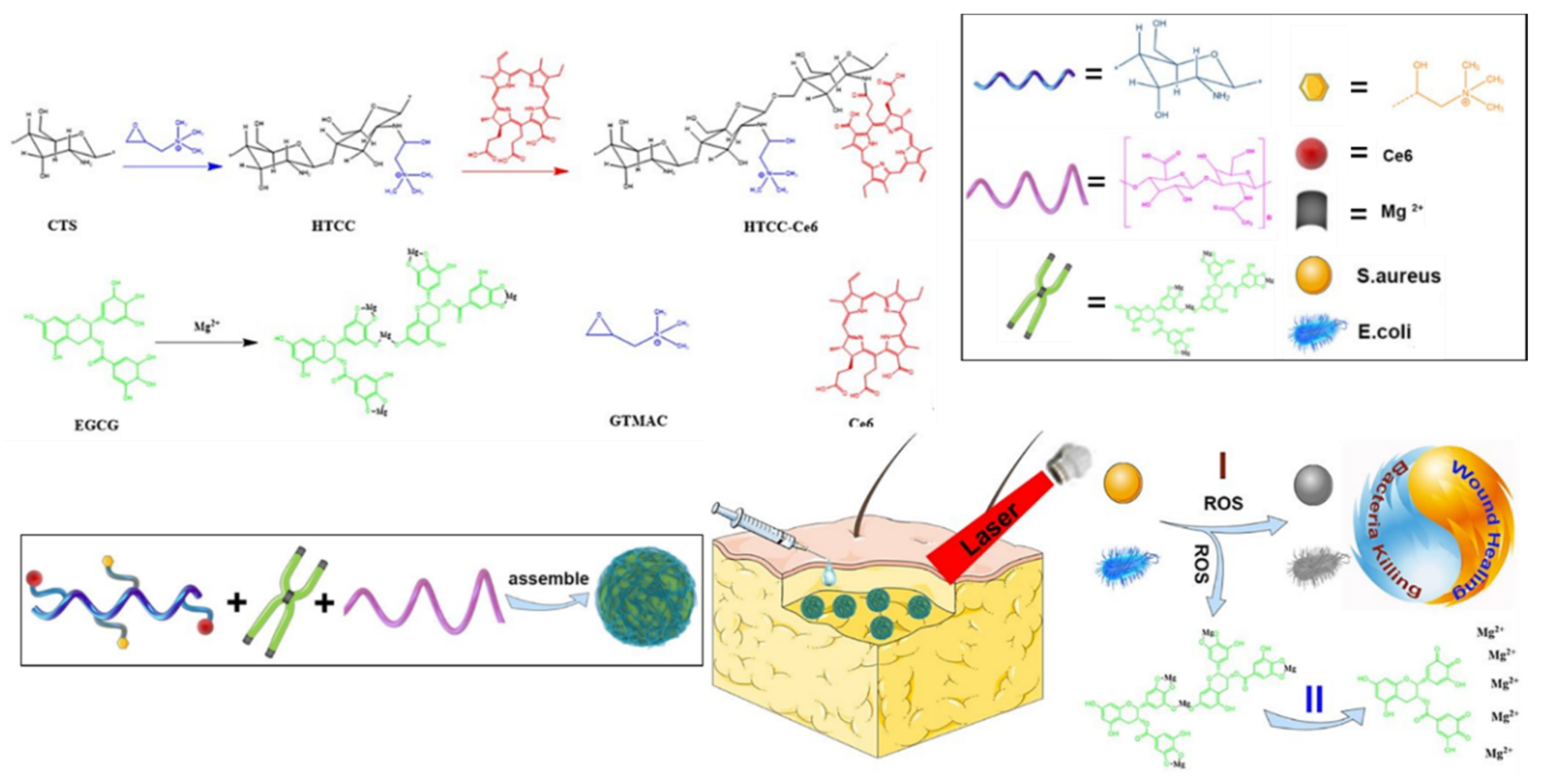 Ijms 22 04121 g023 Ijms 22 04121 g023