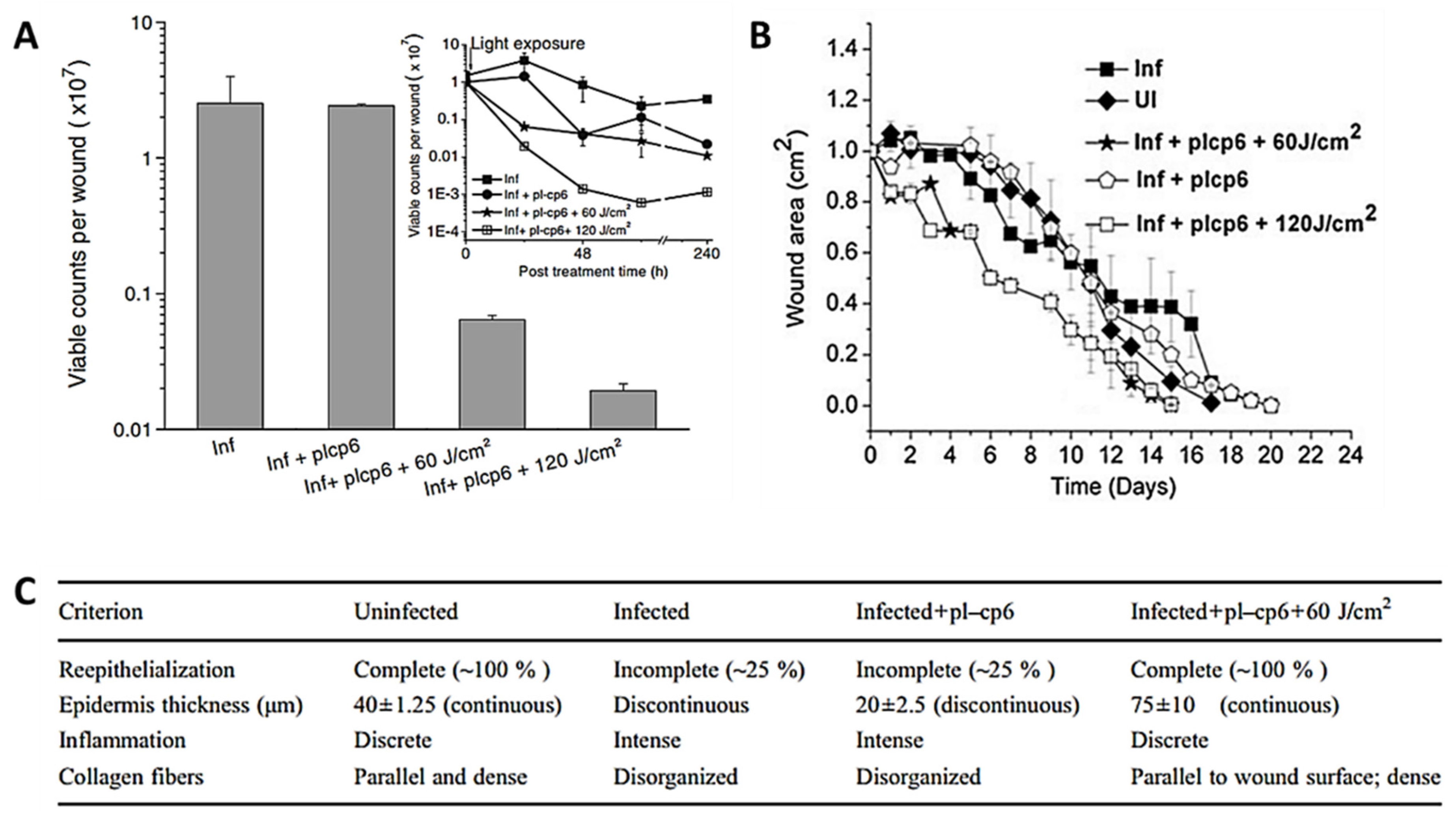 Ijms 22 04121 g024 Ijms 22 04121 g024