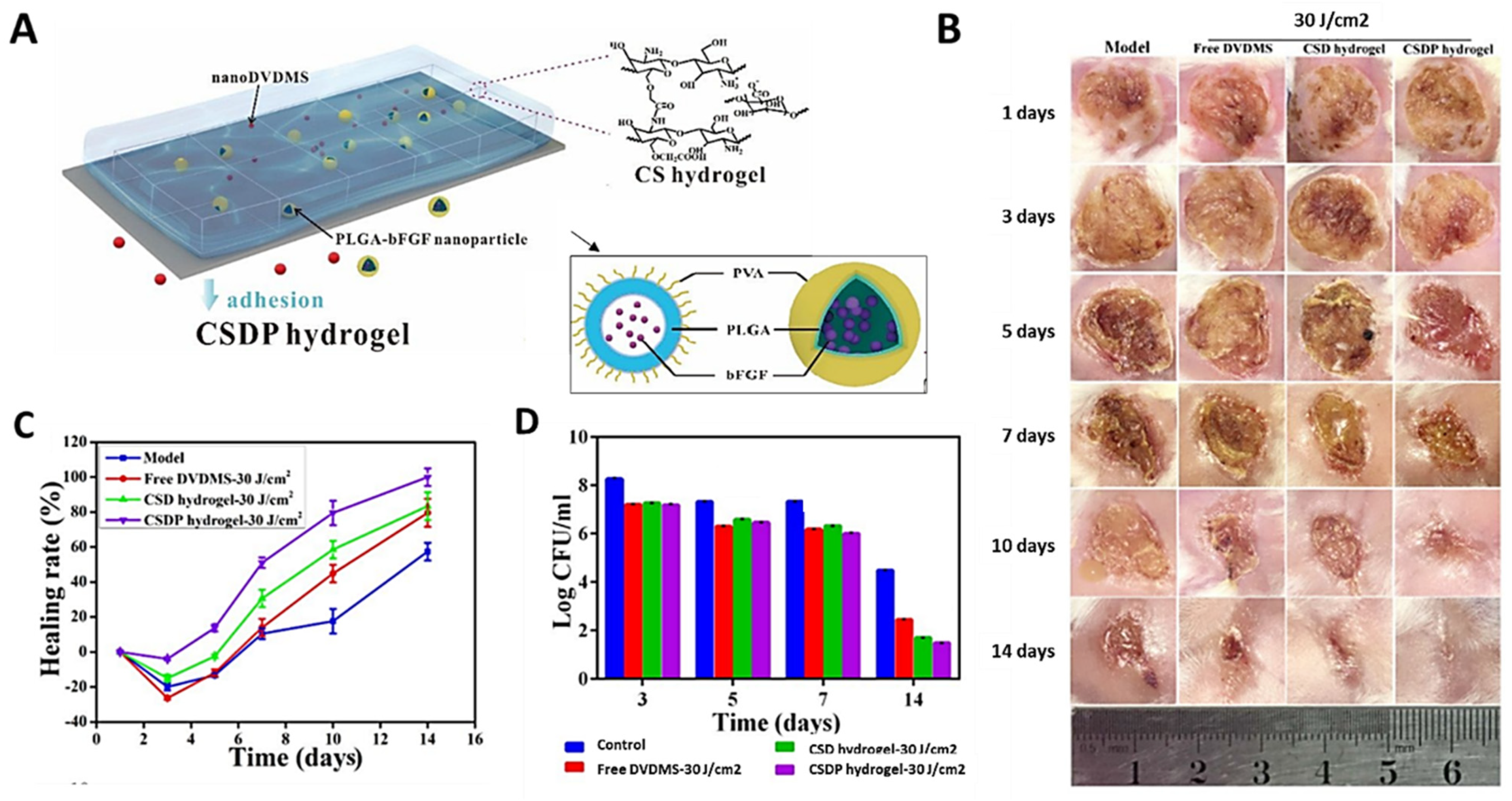 Ijms 22 04121 g025 Ijms 22 04121 g025
