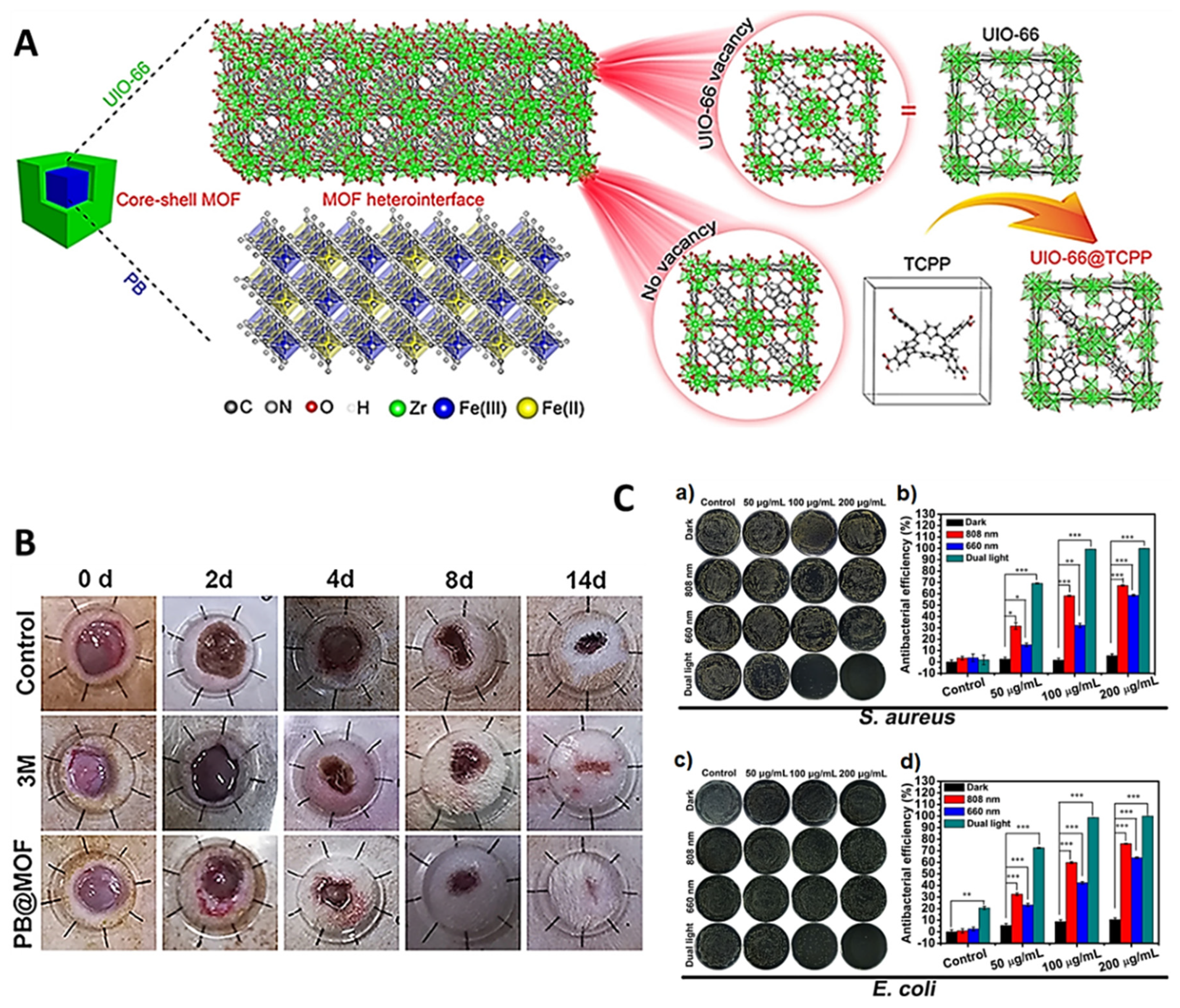 Ijms 22 04121 g031 Ijms 22 04121 g031