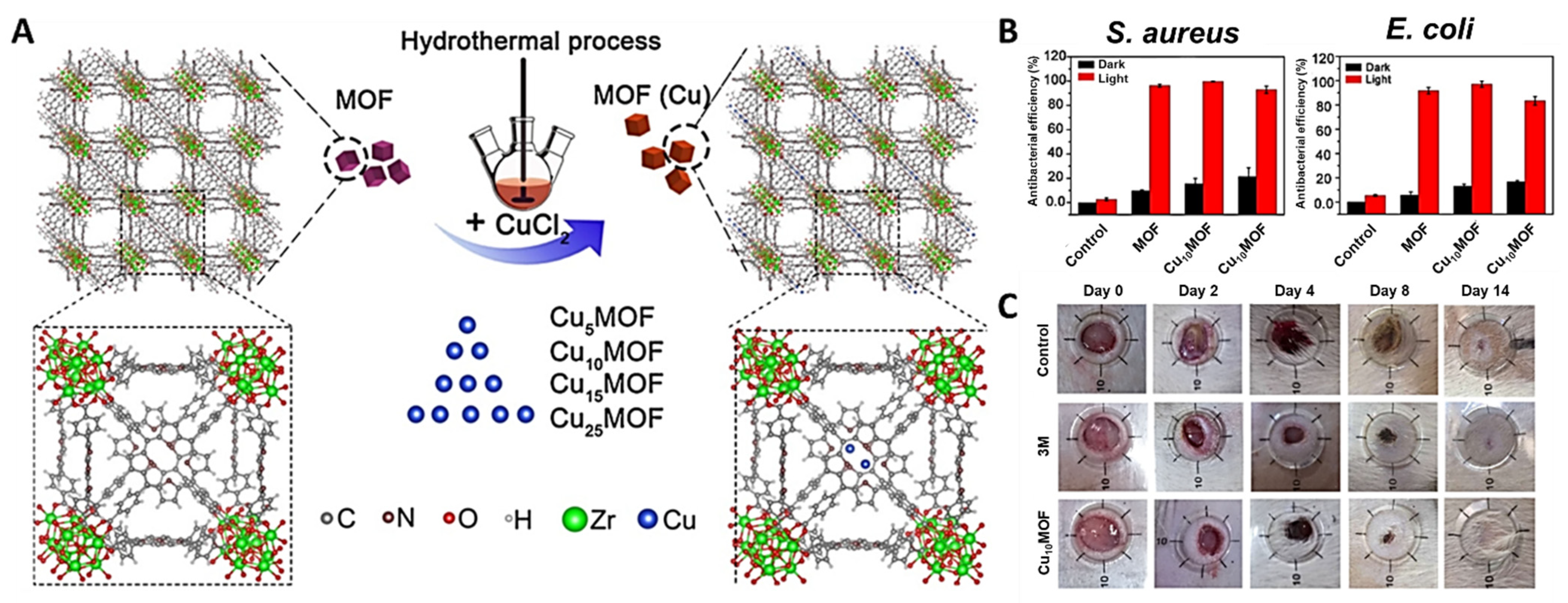 Ijms 22 04121 g032 Ijms 22 04121 g032