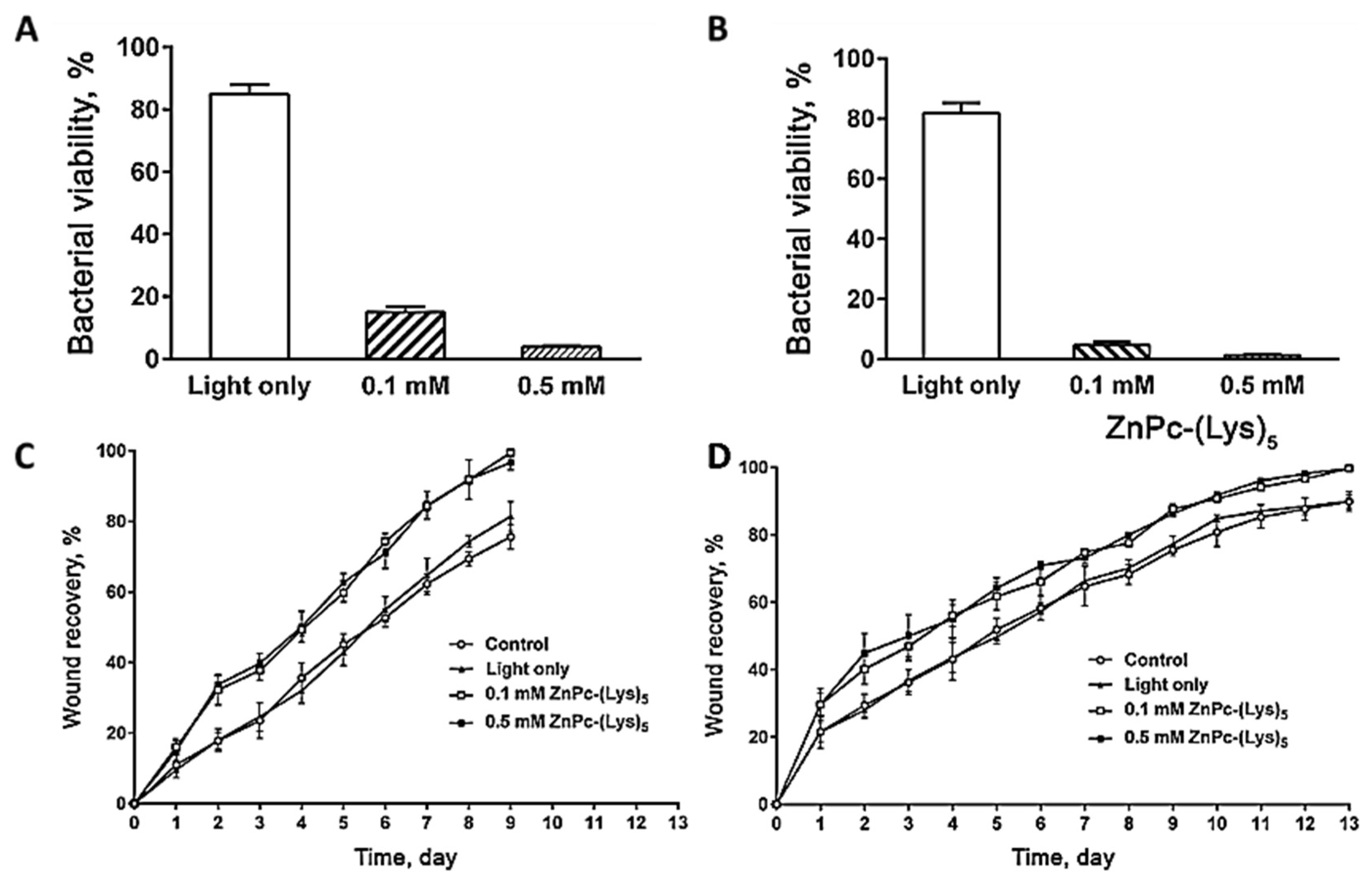 Ijms 22 04121 g037 Ijms 22 04121 g037