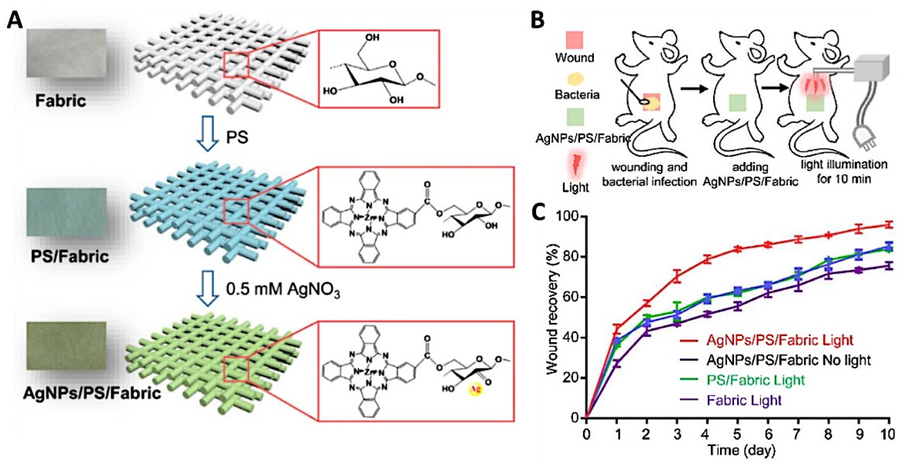 Ijms 22 04121 g038 Ijms 22 04121 g038