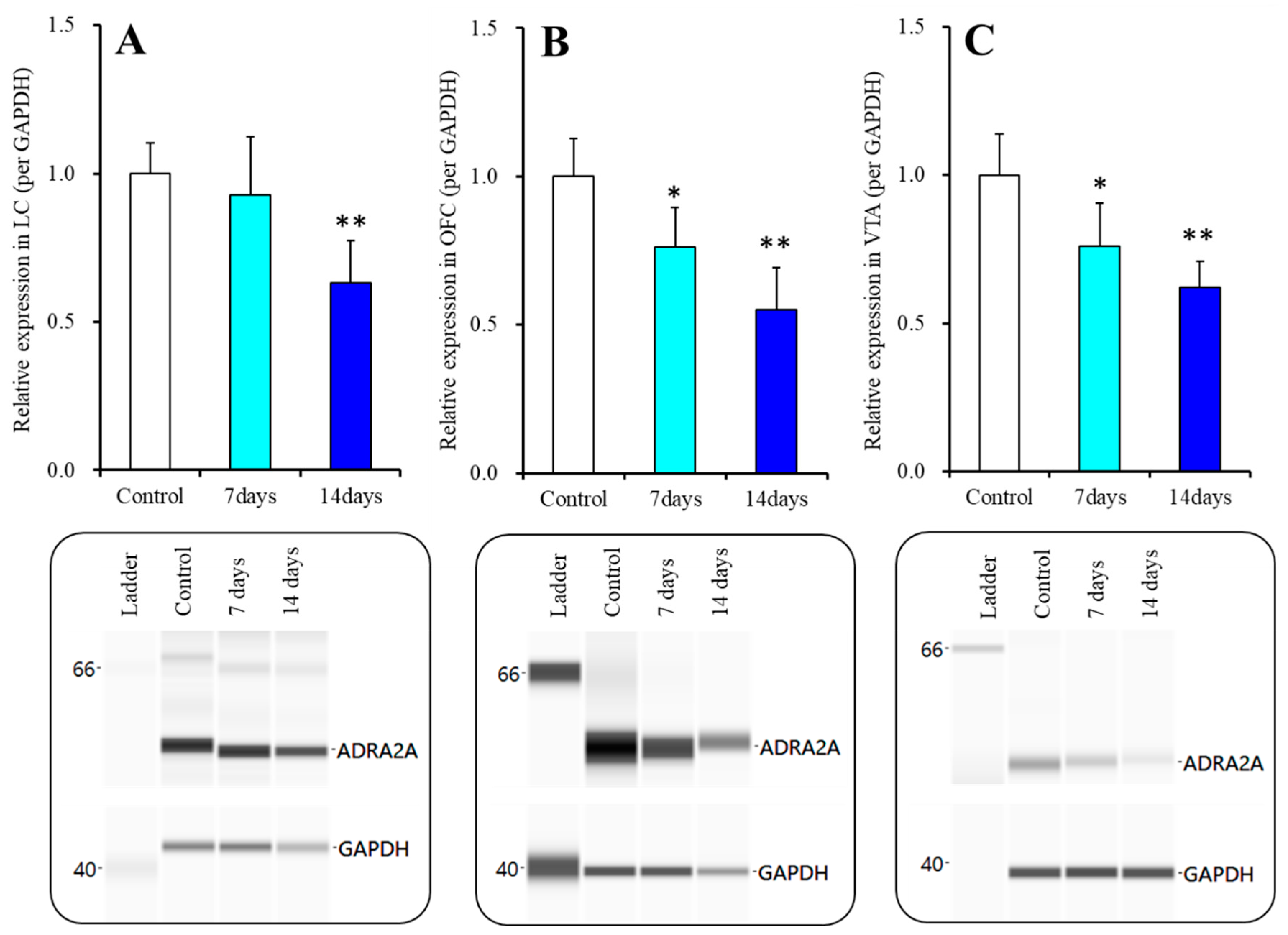 Ijms 22 04122 g008 Ijms 22 04122 g008