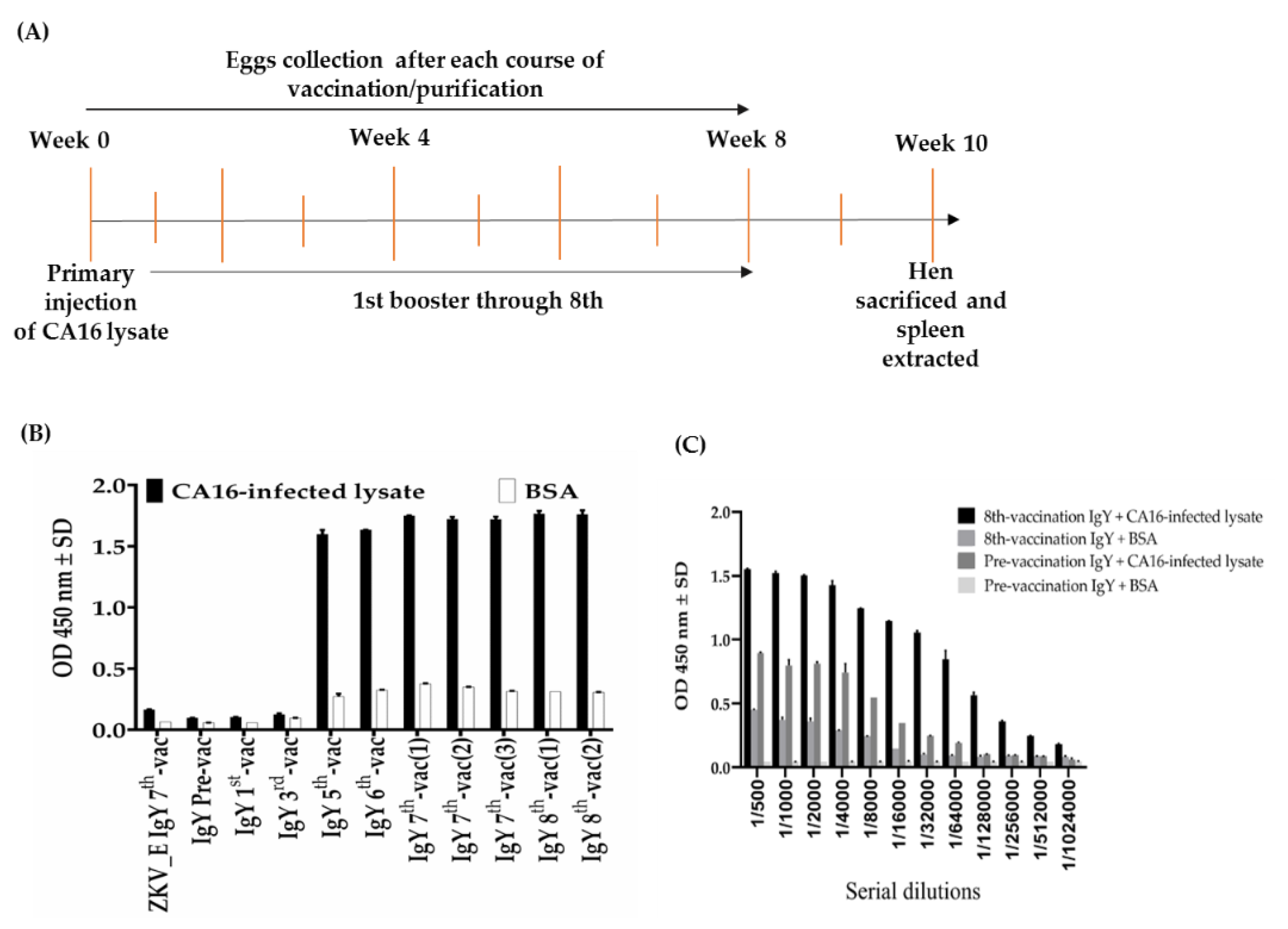 Ijms 22 04146 g001 Ijms 22 04146 g001